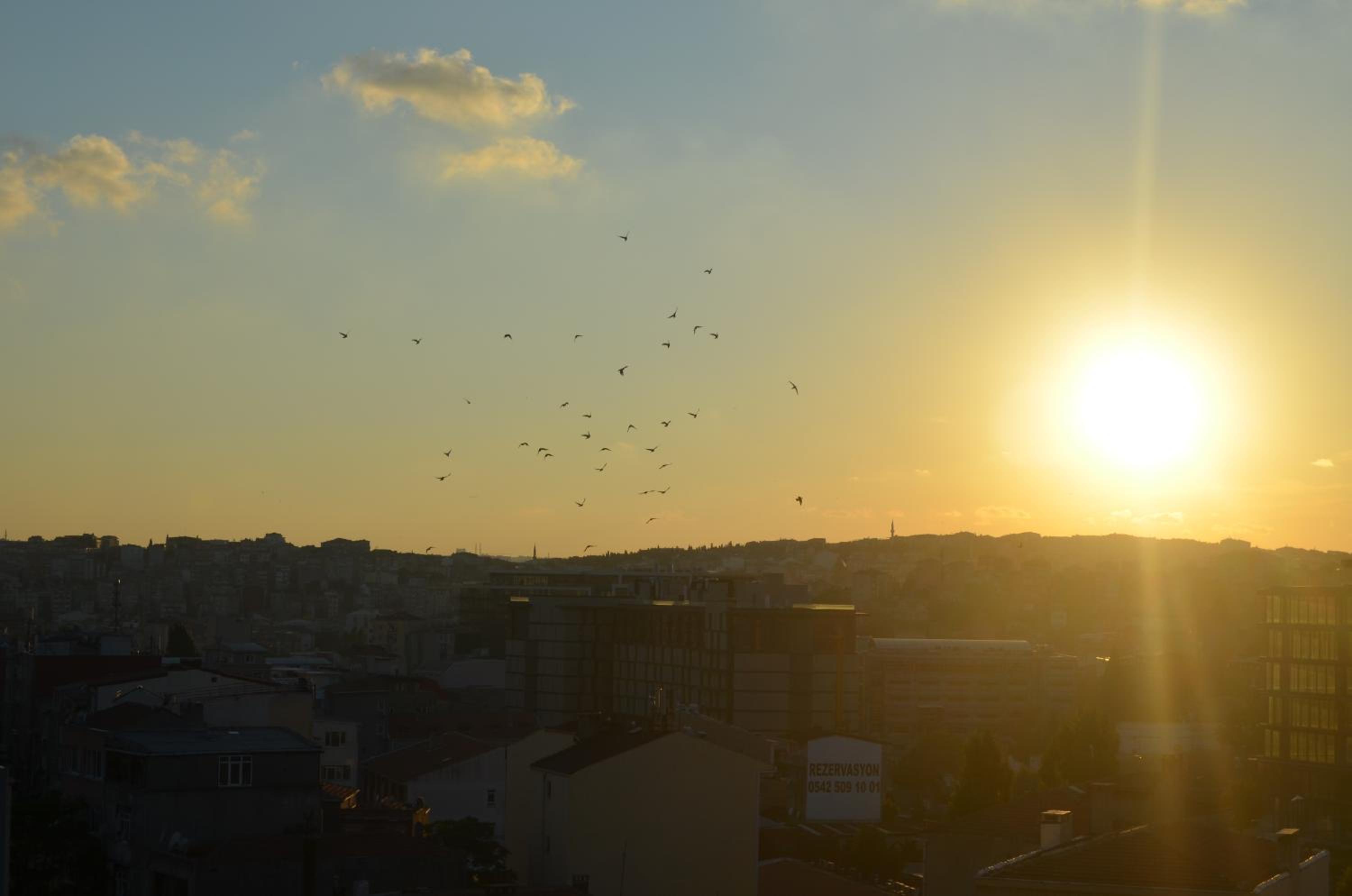 Terra Süitler - Image 8