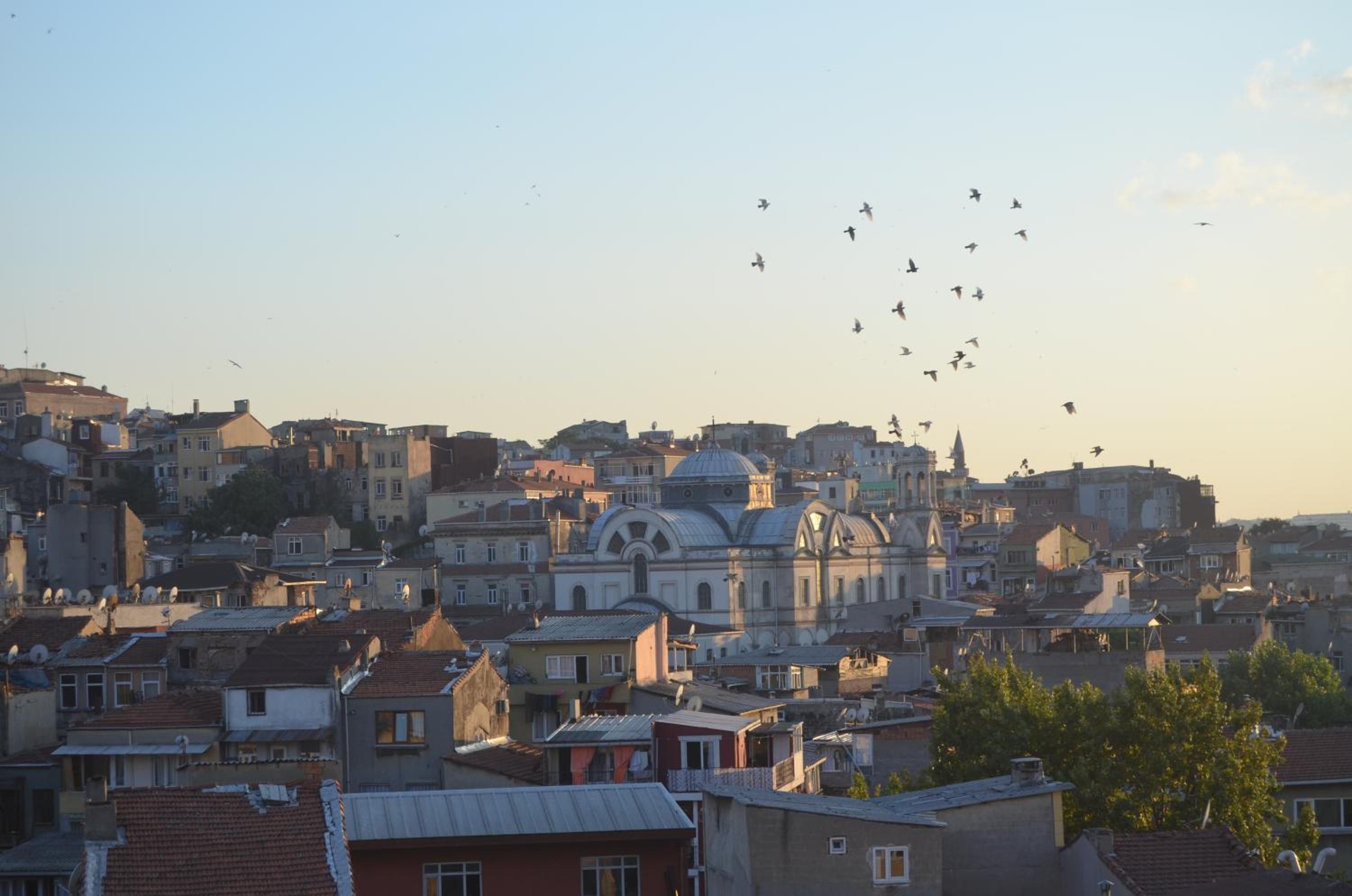 Terra Süitler - Image 9