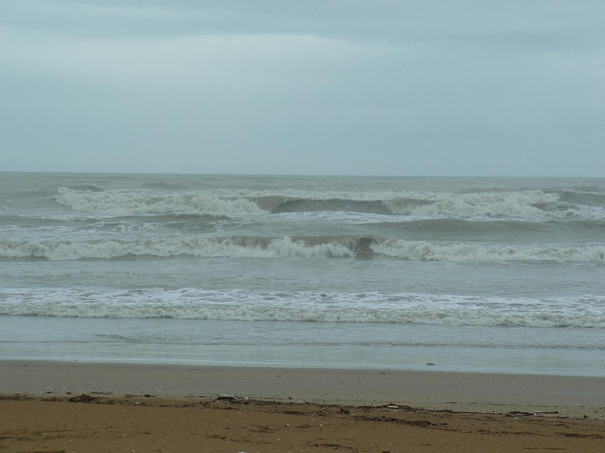 Photo 42