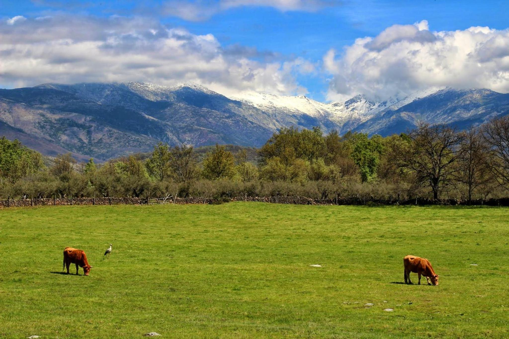 Apartamentos Rurales Entre Fuentes
