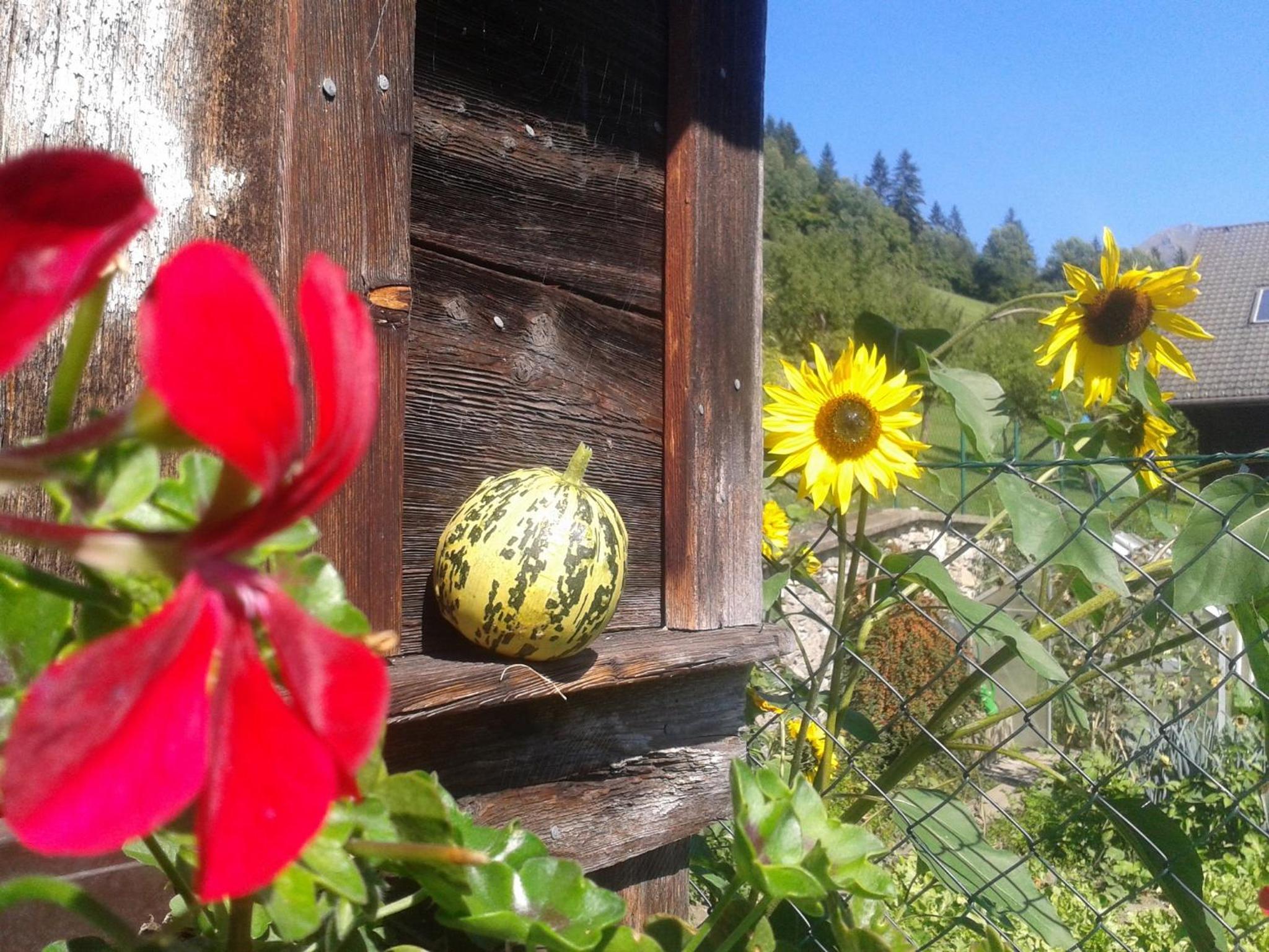 Ranacherhof