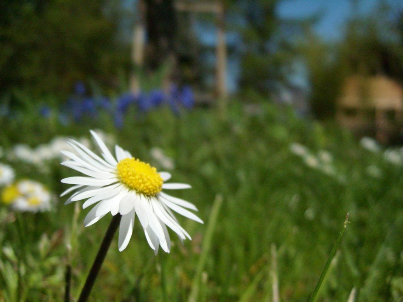 Photo 50