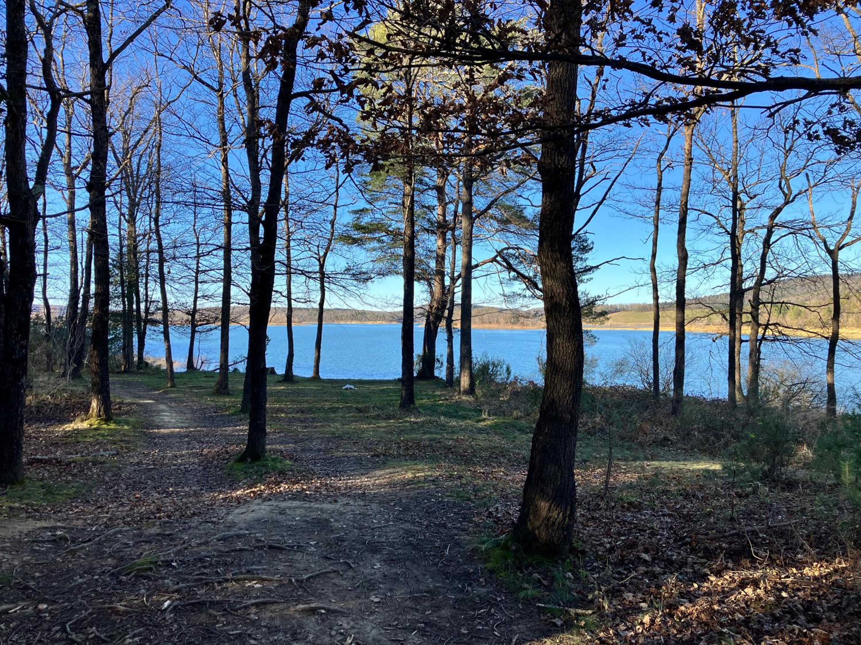 Maison avec vue sur le Lac de Montbel