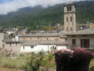 Photo 41