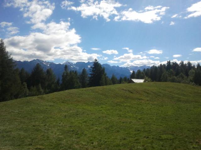 Photo 39