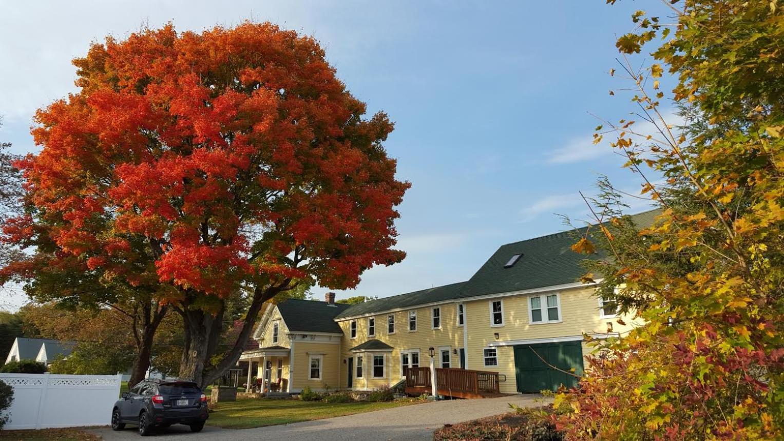 Elmere House Bed & Breakfast
