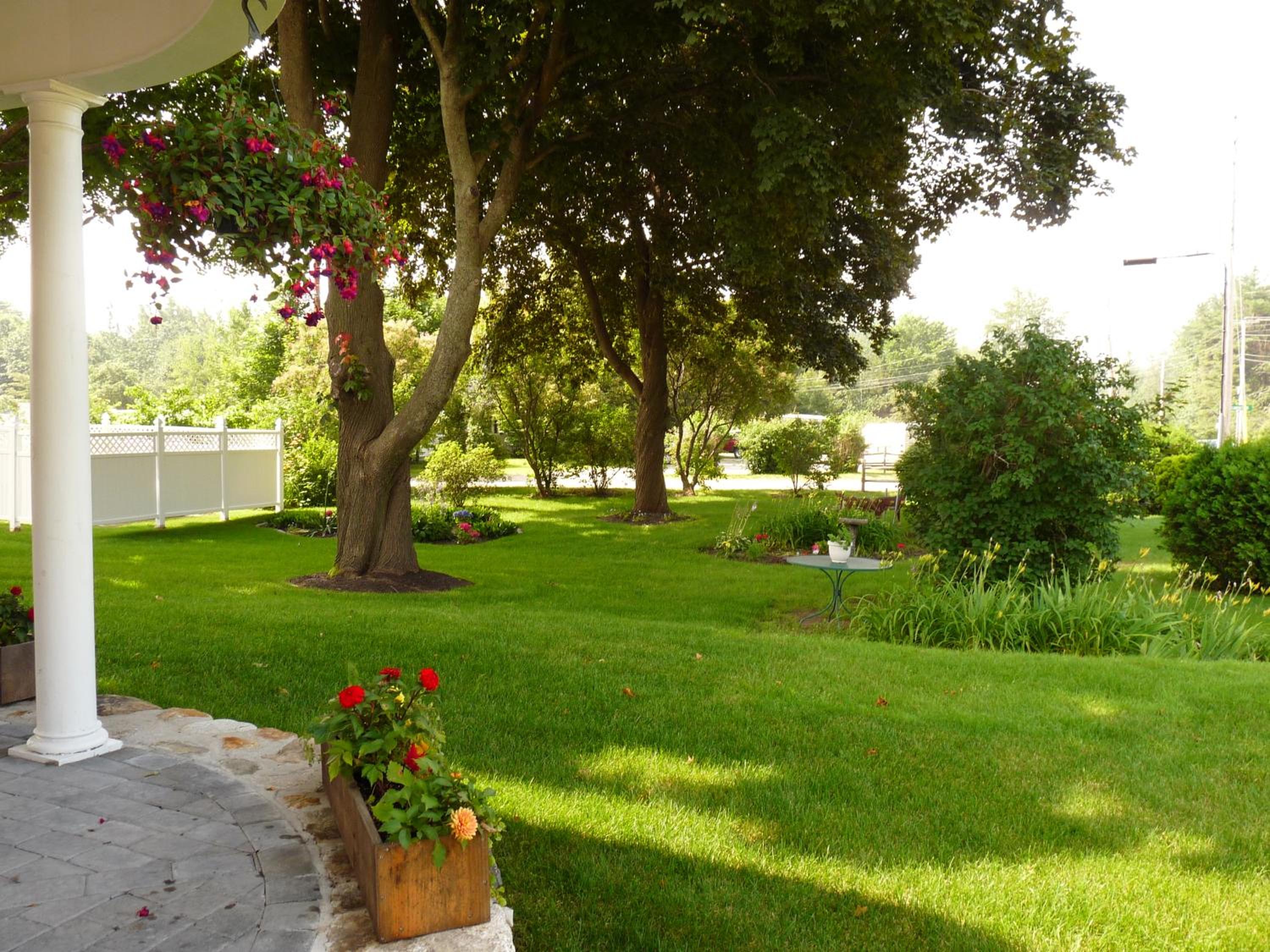 Elmere House Bed & Breakfast