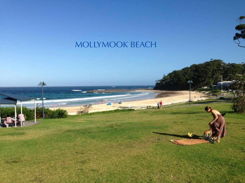 Beach House Mollymook