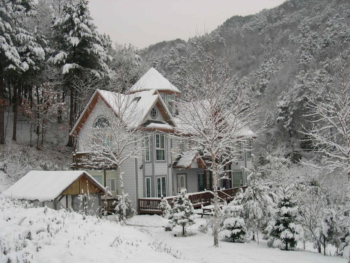 Happy Dream Pension, 평창군 - 17