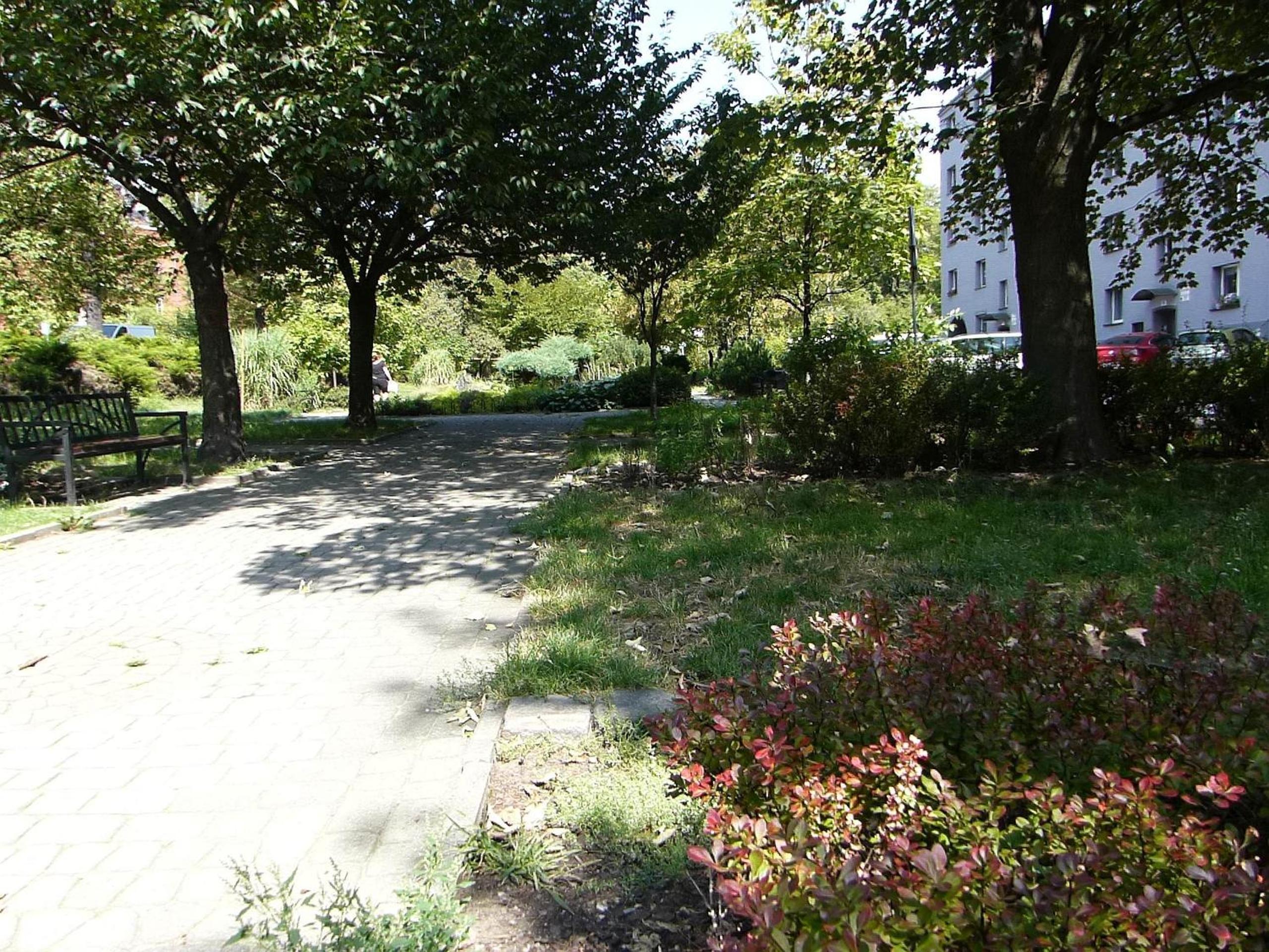 Photo 10