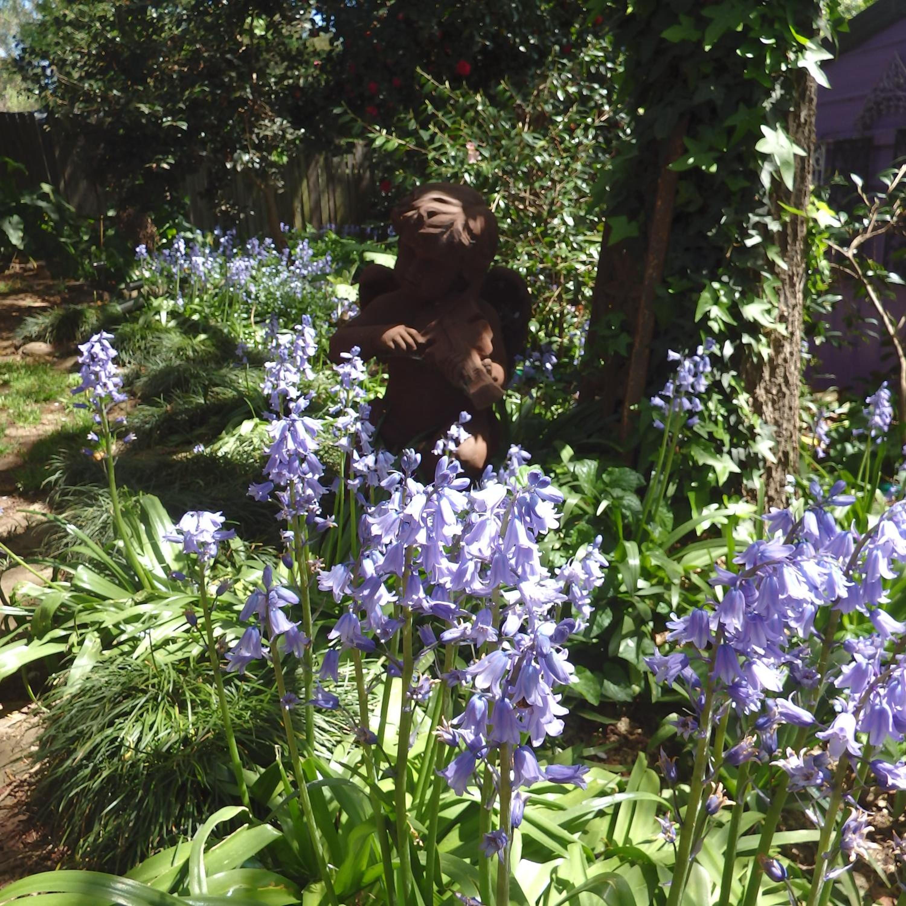 Bowral Road Art Gallery Bed and Breakfast