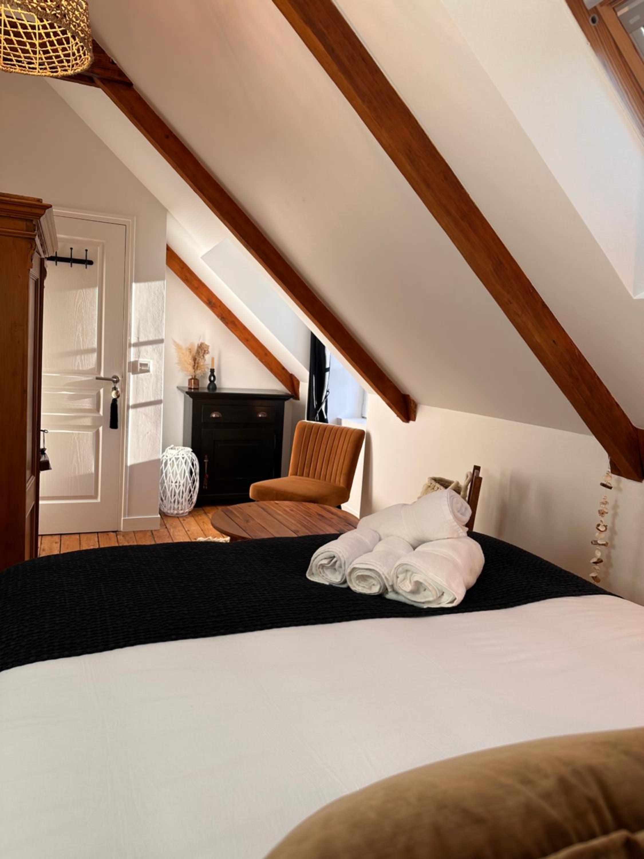 Les Libellules Appartement avec baignoire spa à Dinan Lanvallay