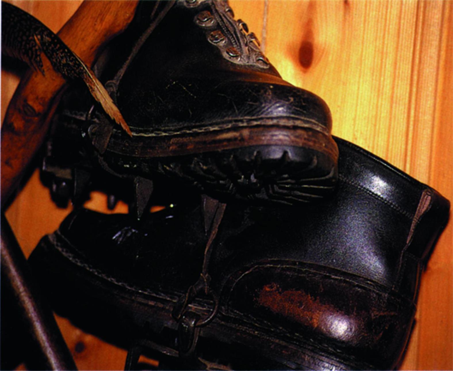 Photo 42