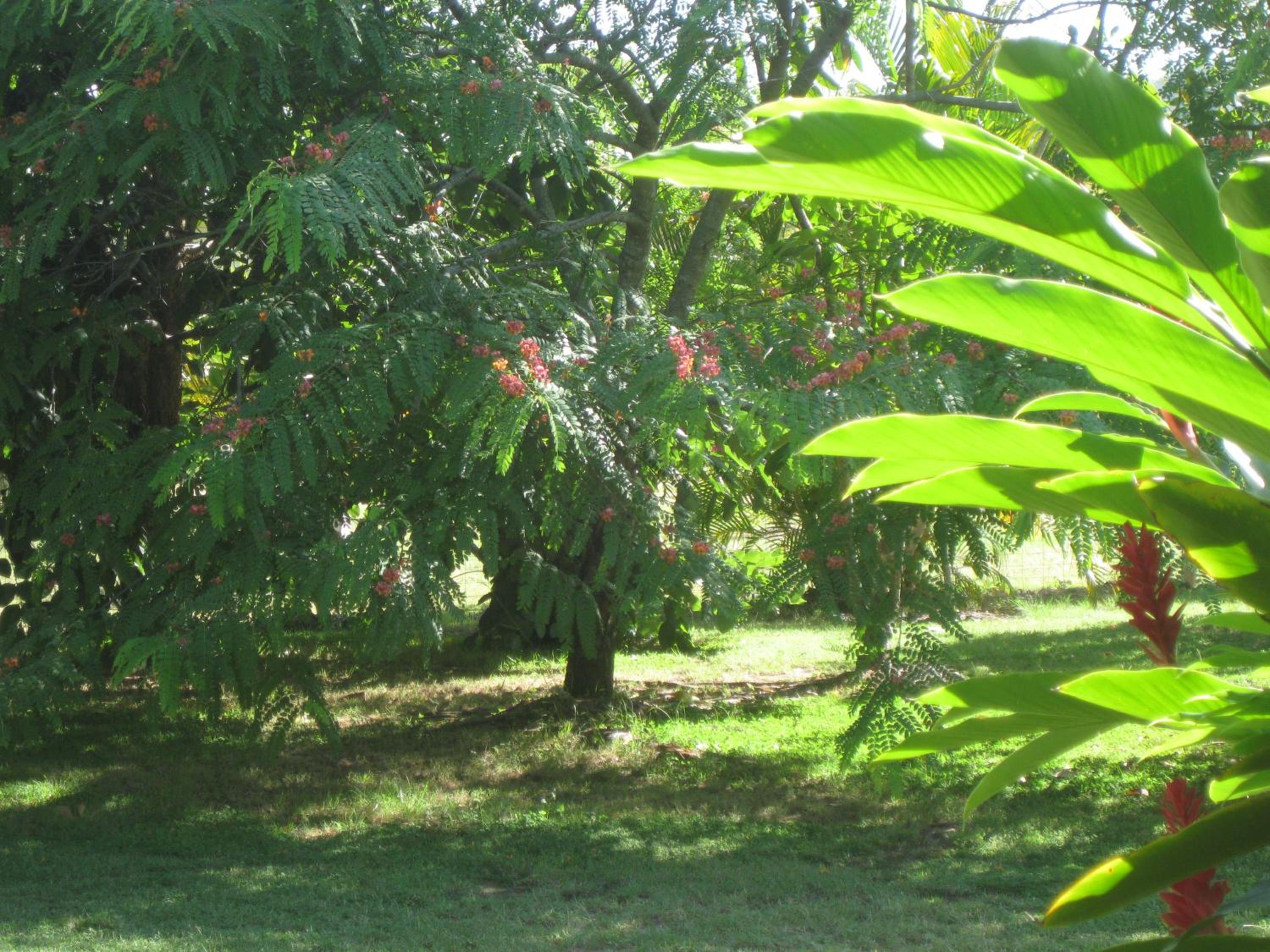 Magnetic Island Bed and Breakfast
