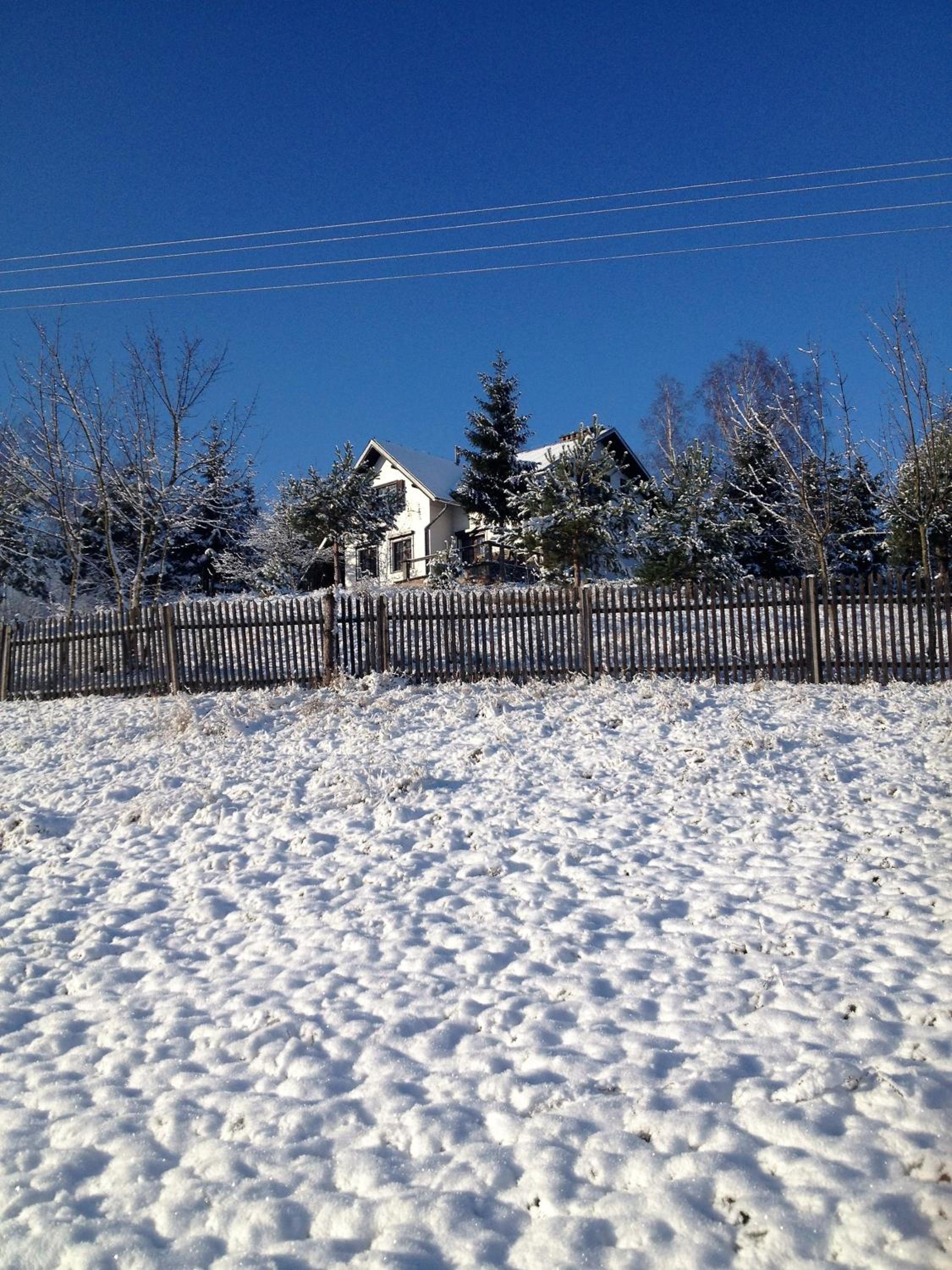 Photo 29
