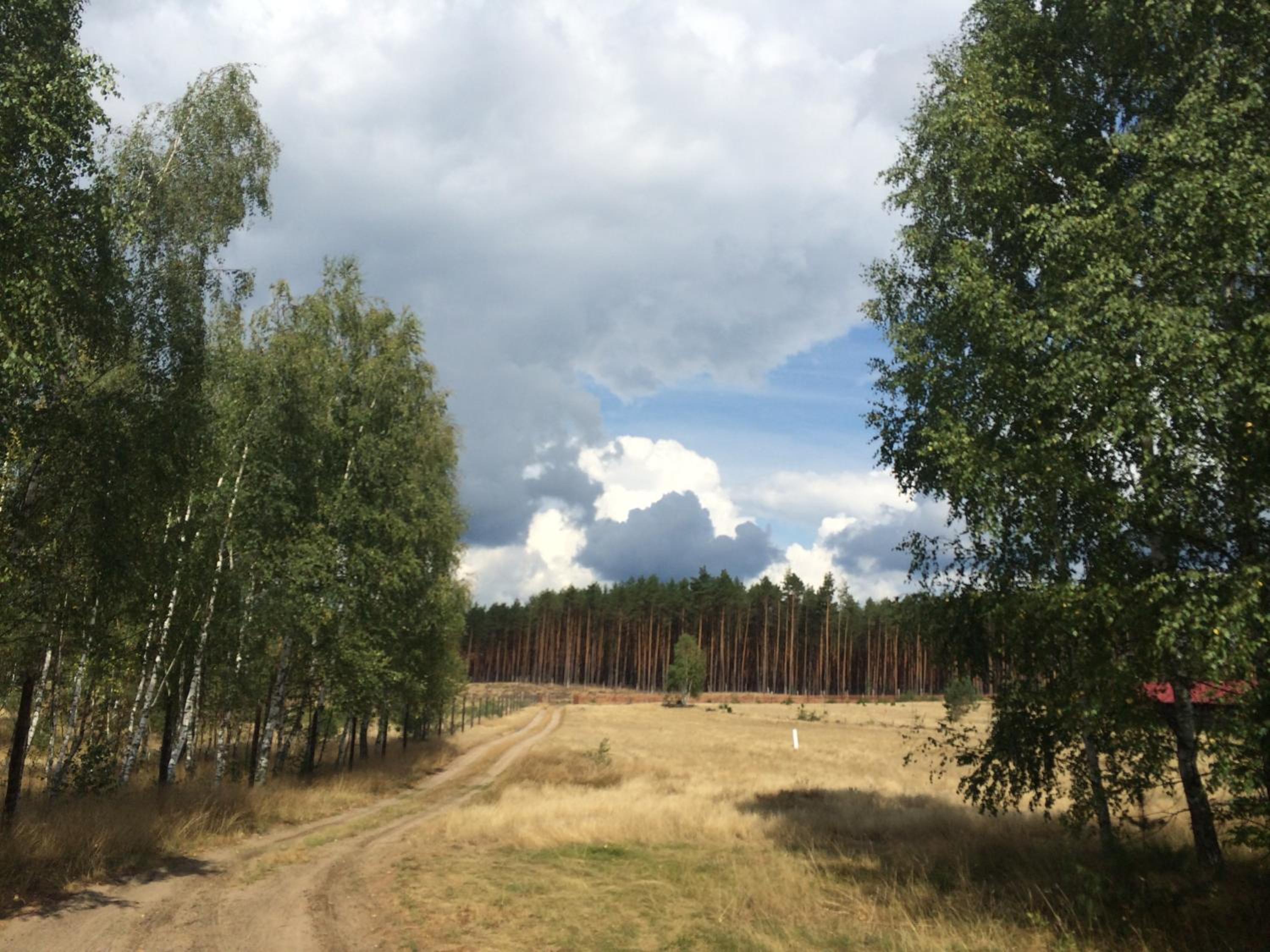 Photo 27
