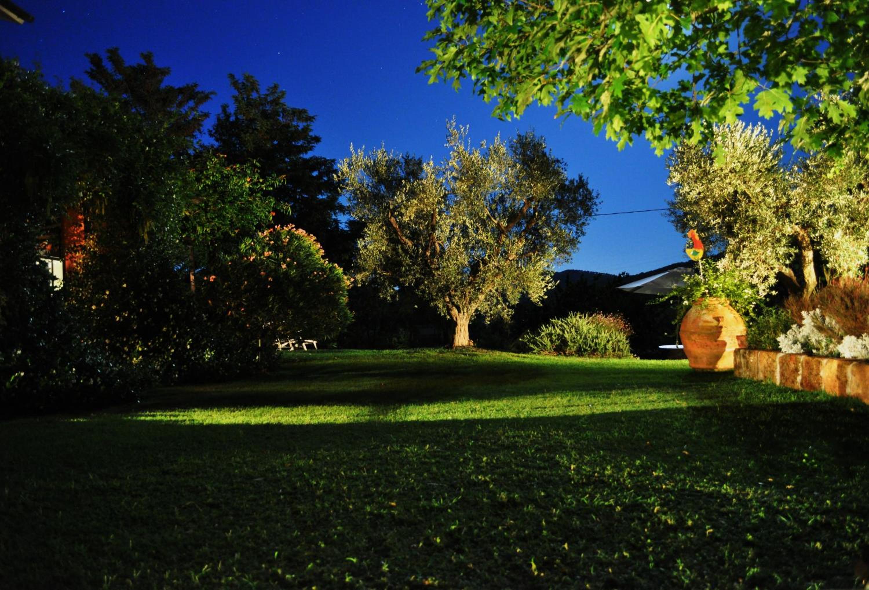 Podere L'Olmaia