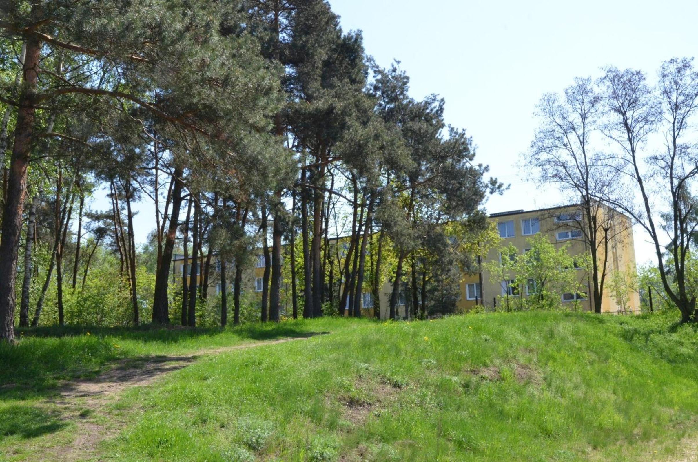 Photo 13