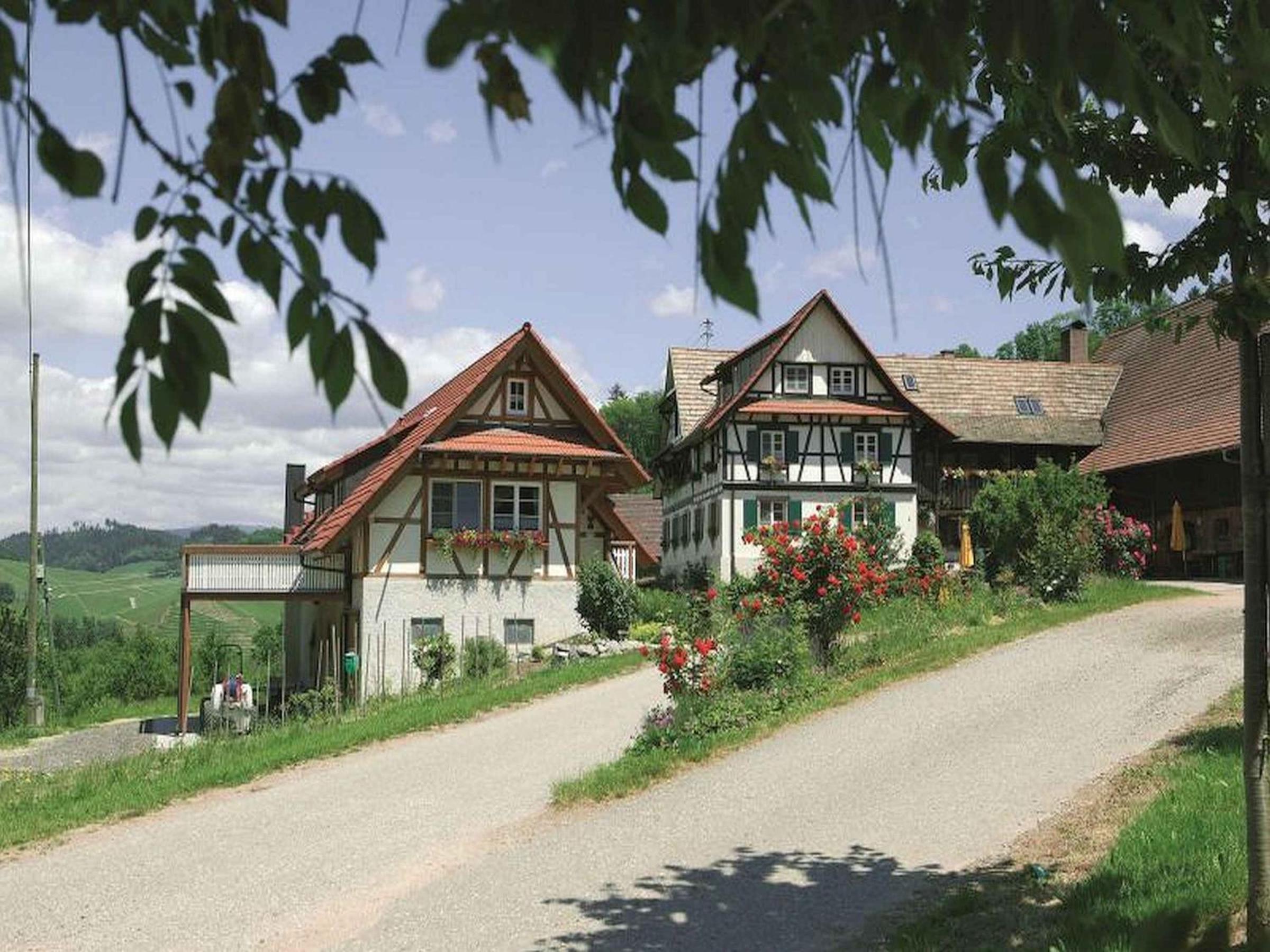 Weingut Alfred Huber view 2