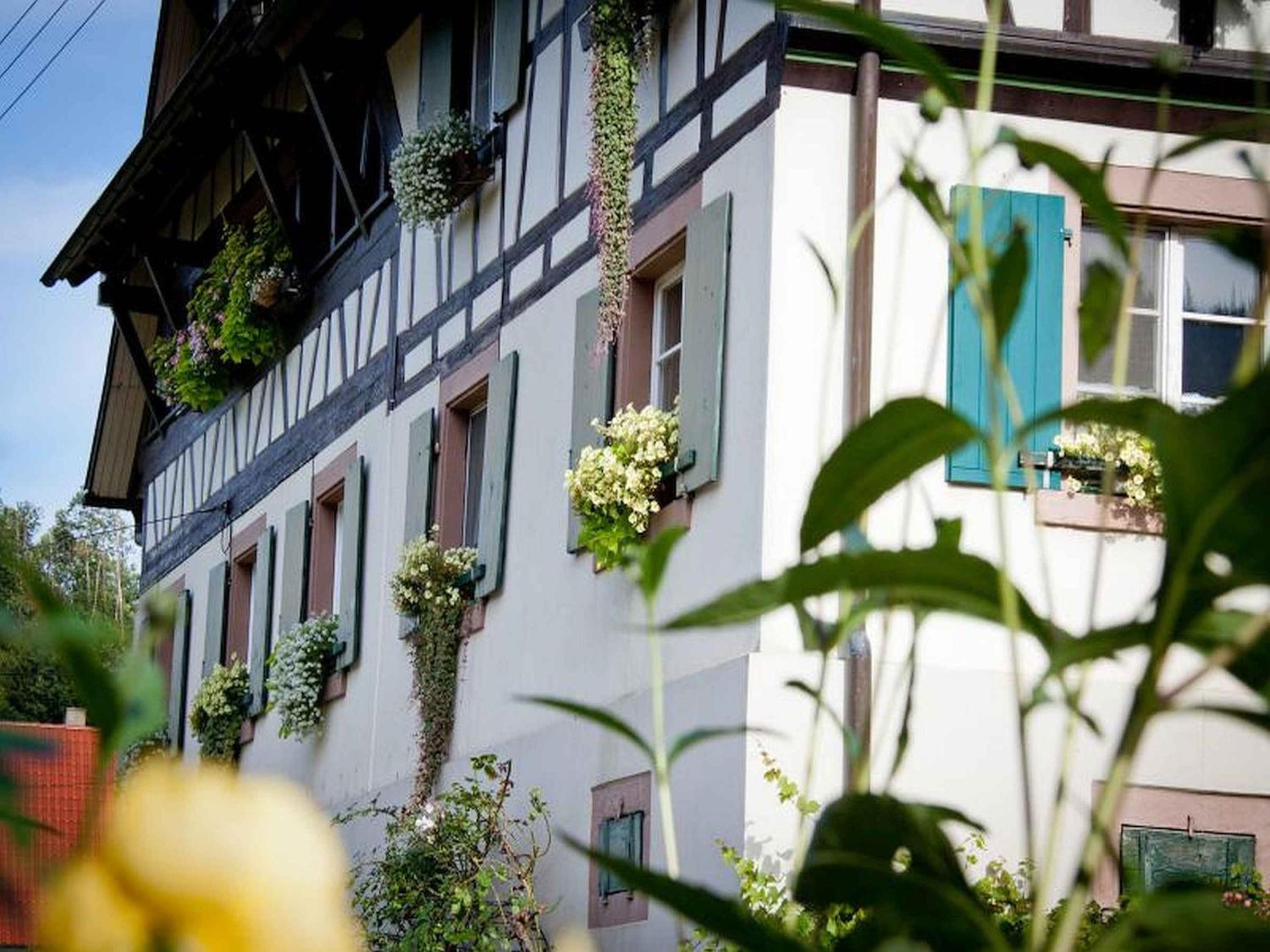 Weingut Alfred Huber view 4