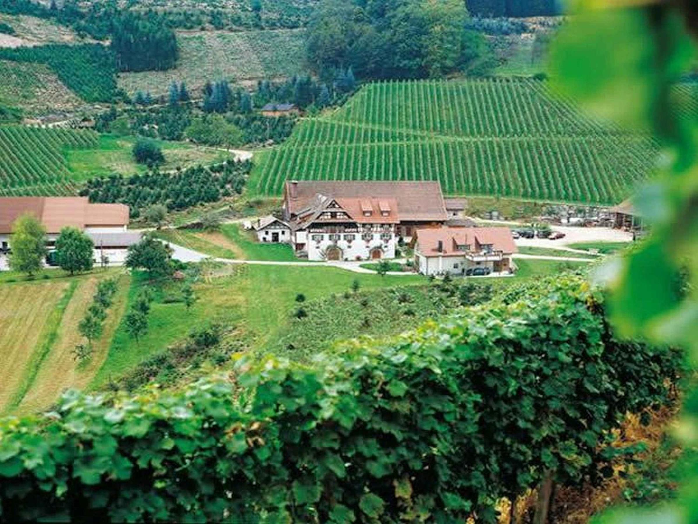 Weingut Alfred Huber view 3