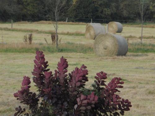 The Stables - Deer Park Farm