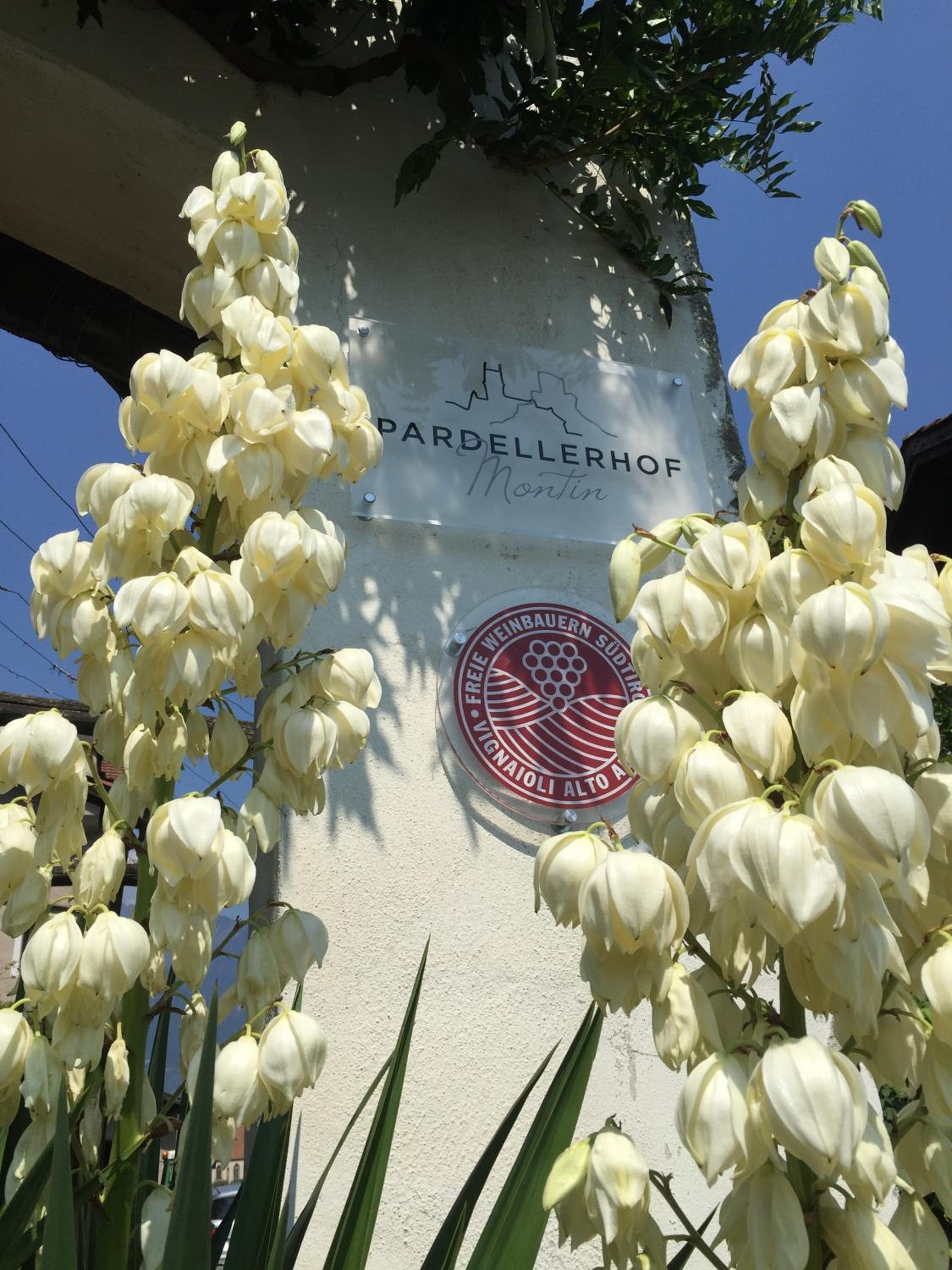 Weingut Pardellerhof