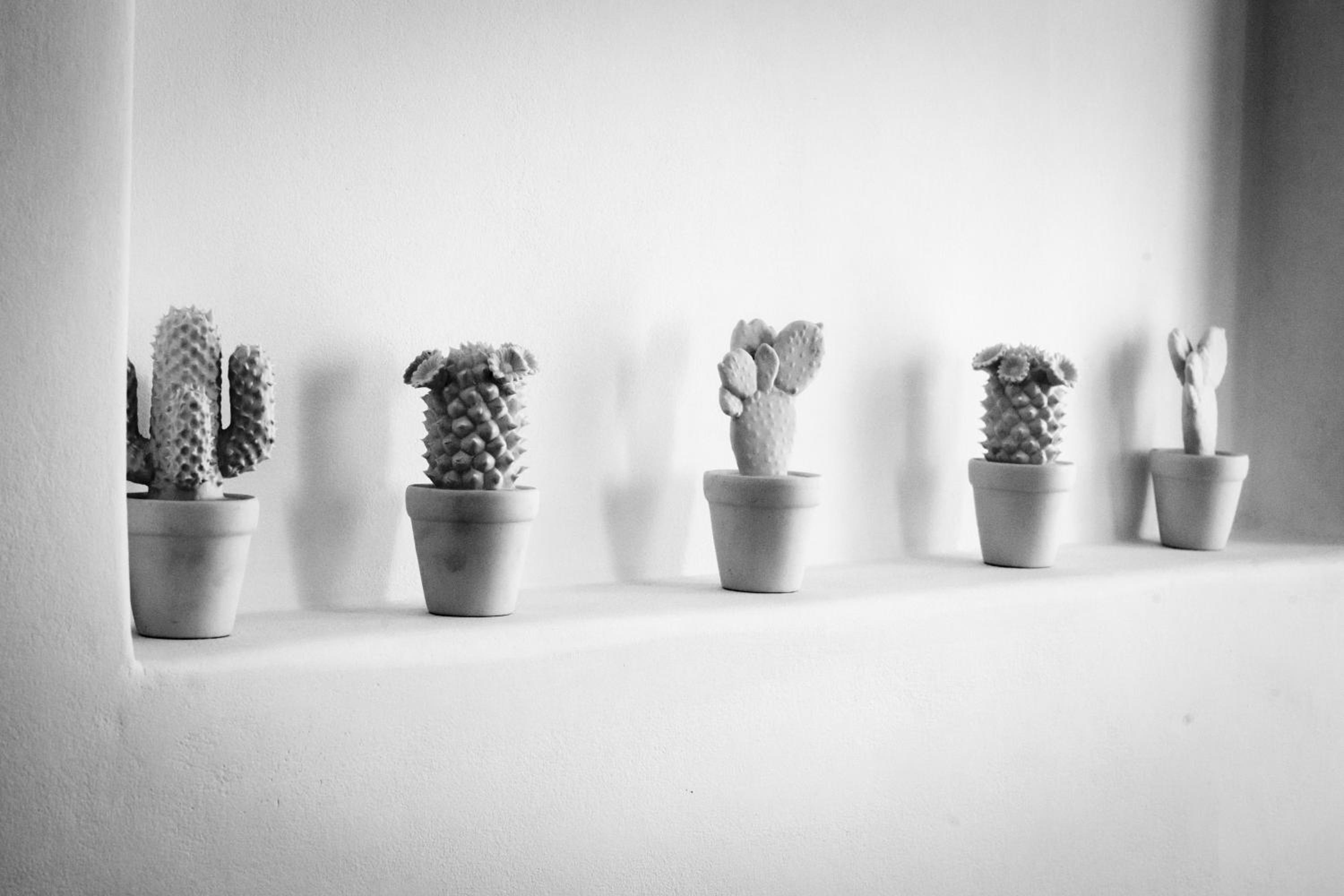 Photo 73