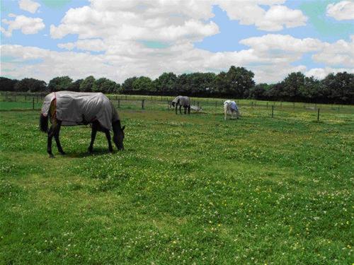 The Stables - Deer Park Farm