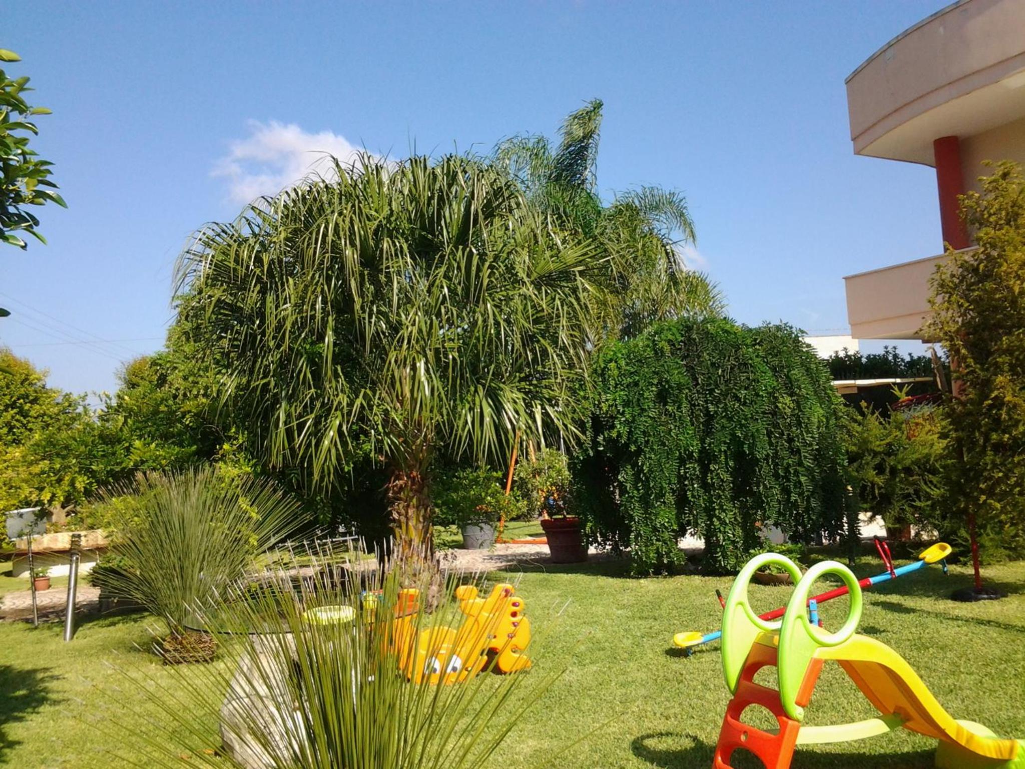 Photo 34