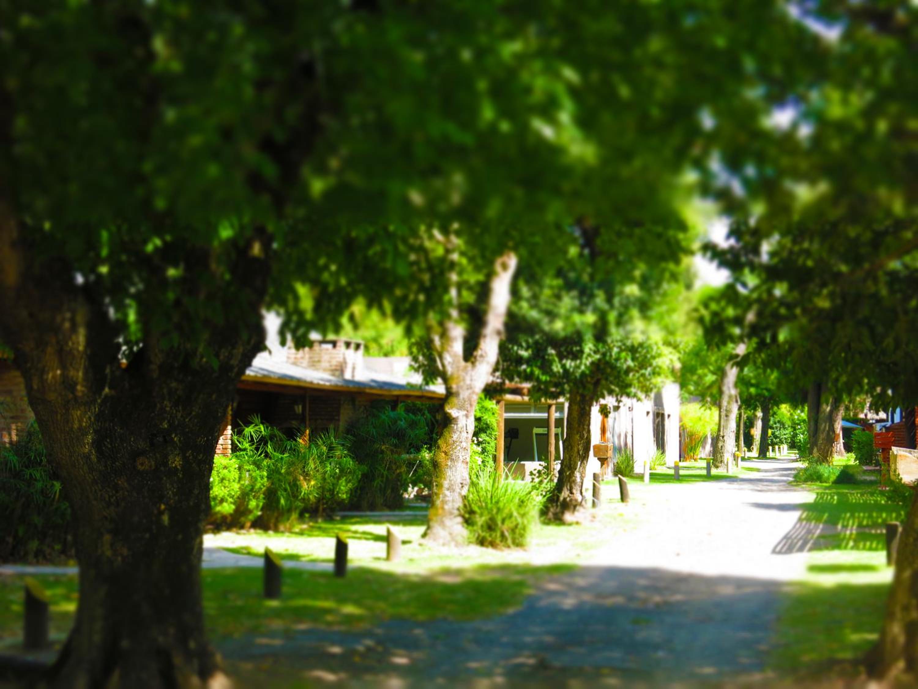 Los Plátanos cabañas & suites