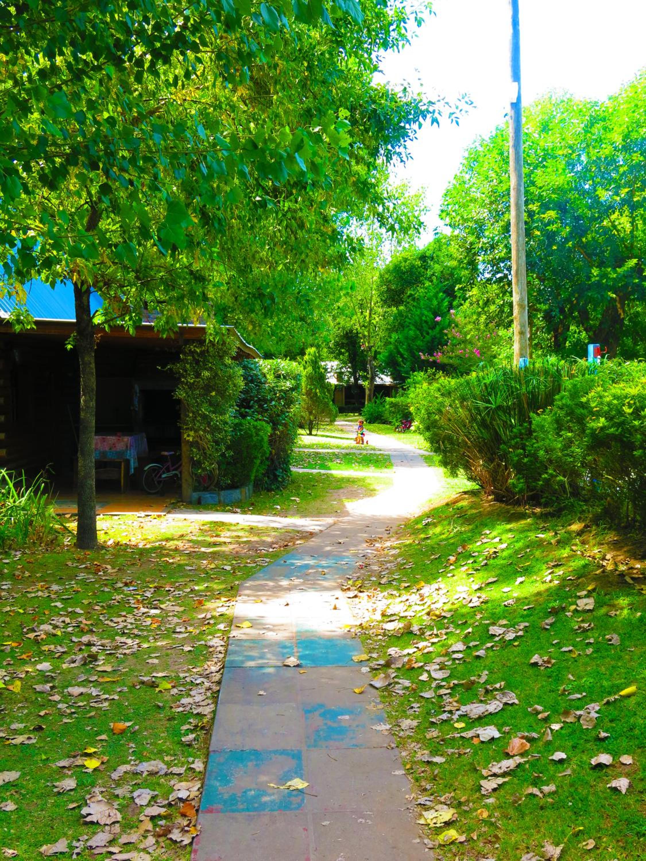 Los Plátanos cabañas & suites