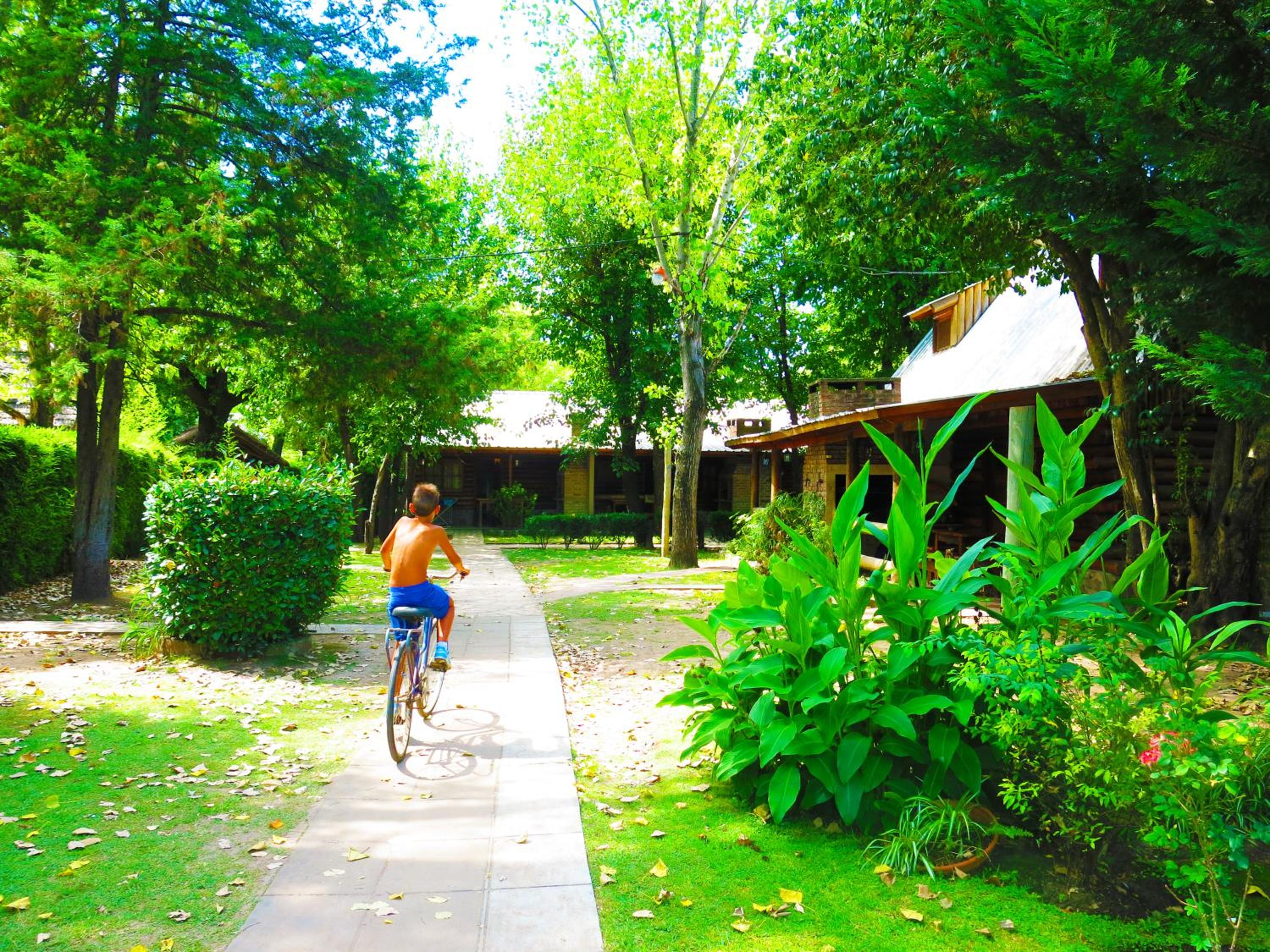 Los Plátanos cabañas & suites
