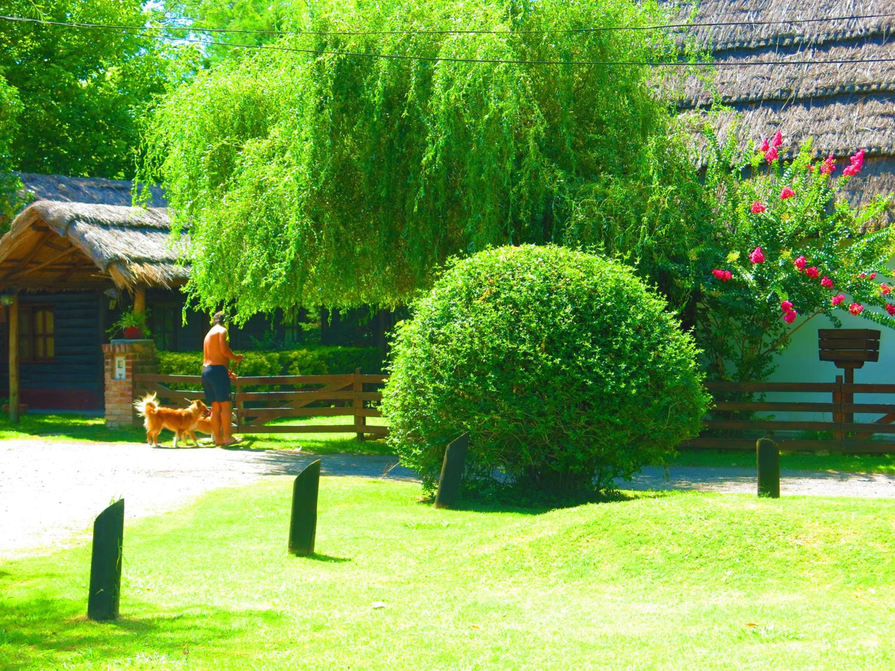 Los Plátanos cabañas & suites