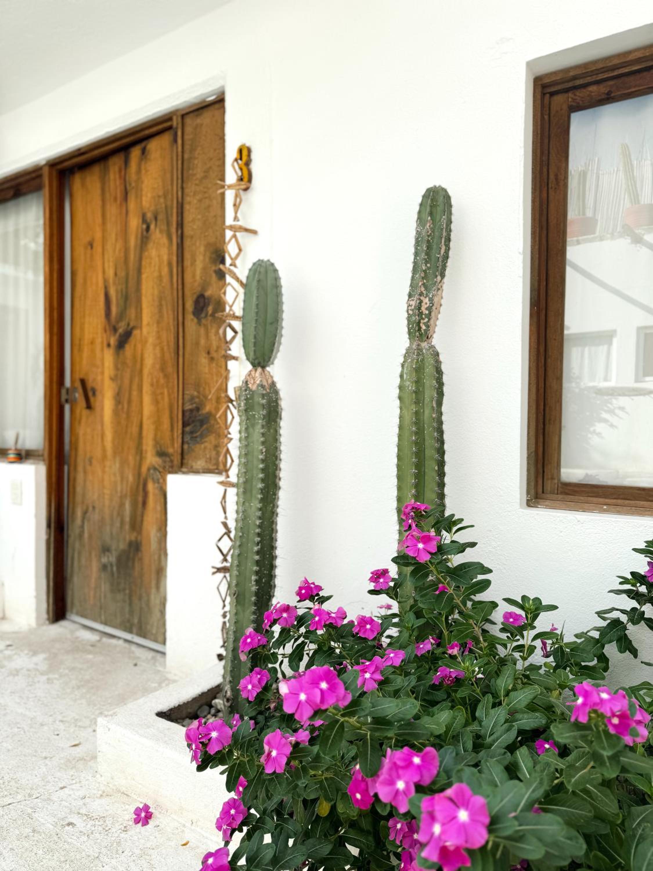 Casa Leone La Punta