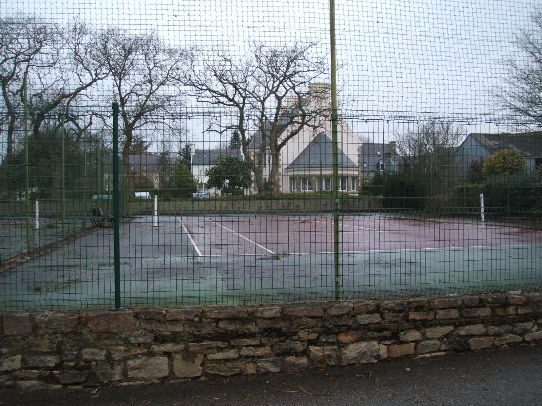 Photo 8