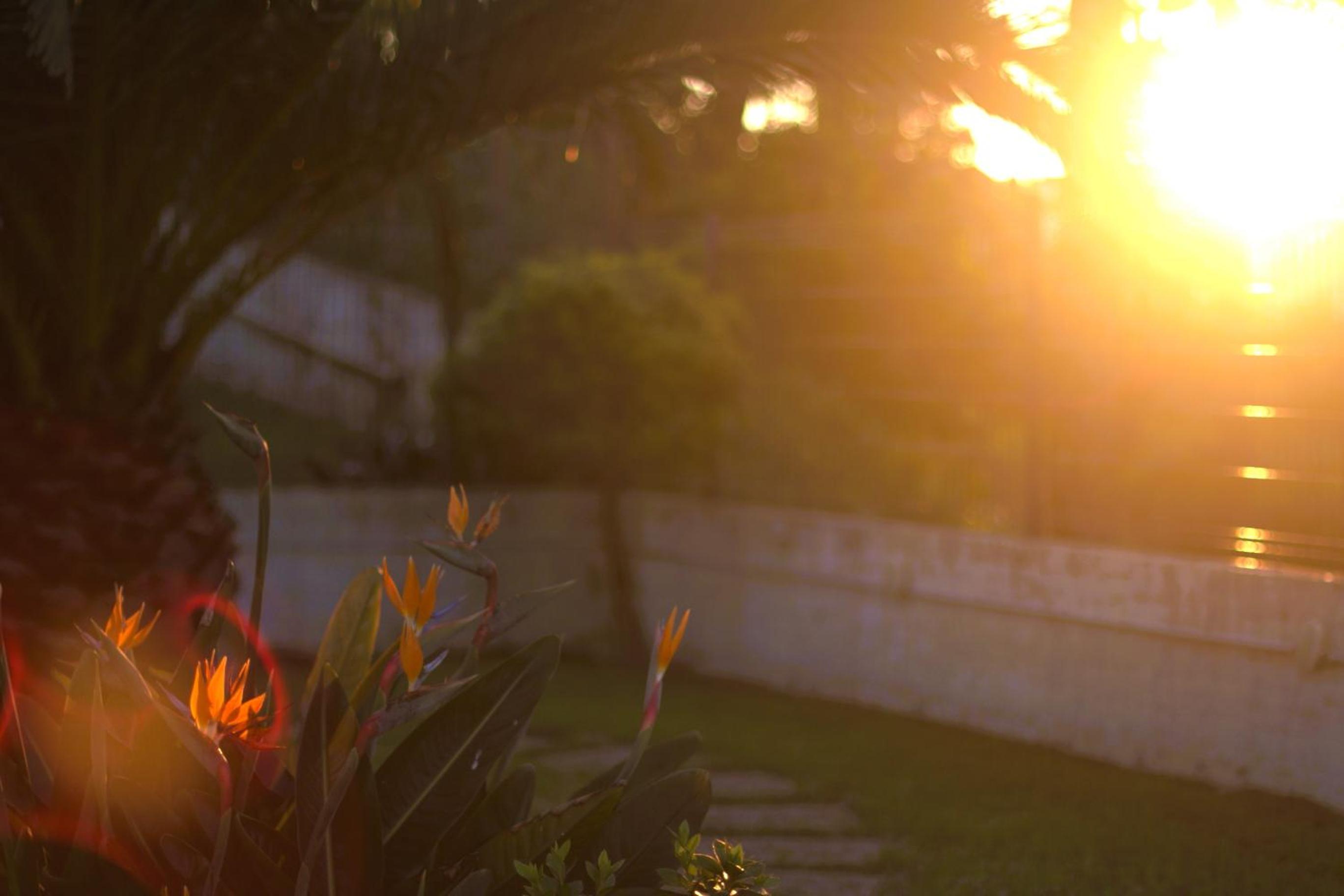 Casa Ondas - Ocean-Inspired Stay