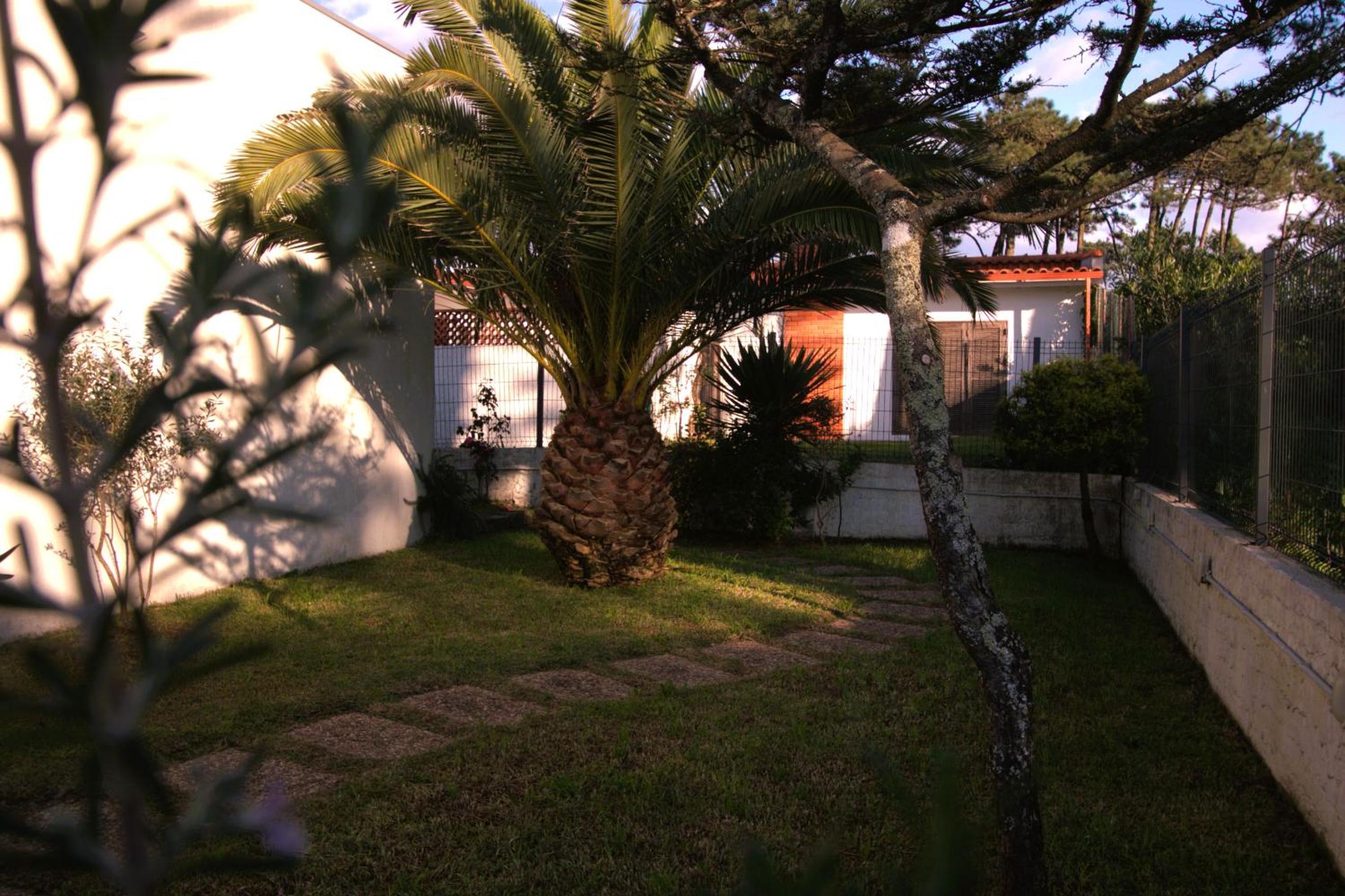 Casa Ondas - Ocean-Inspired Stay
