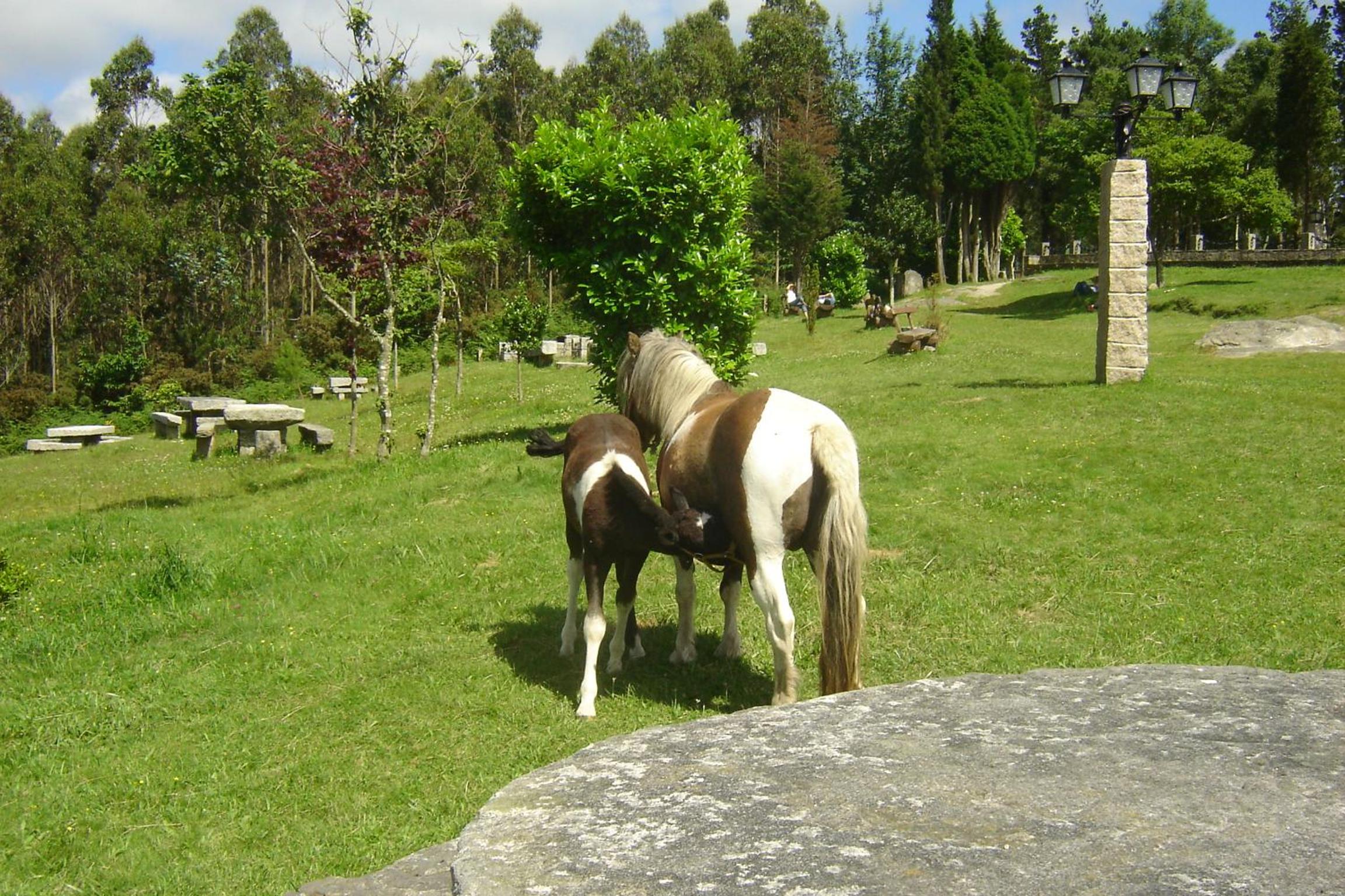 Photo 54