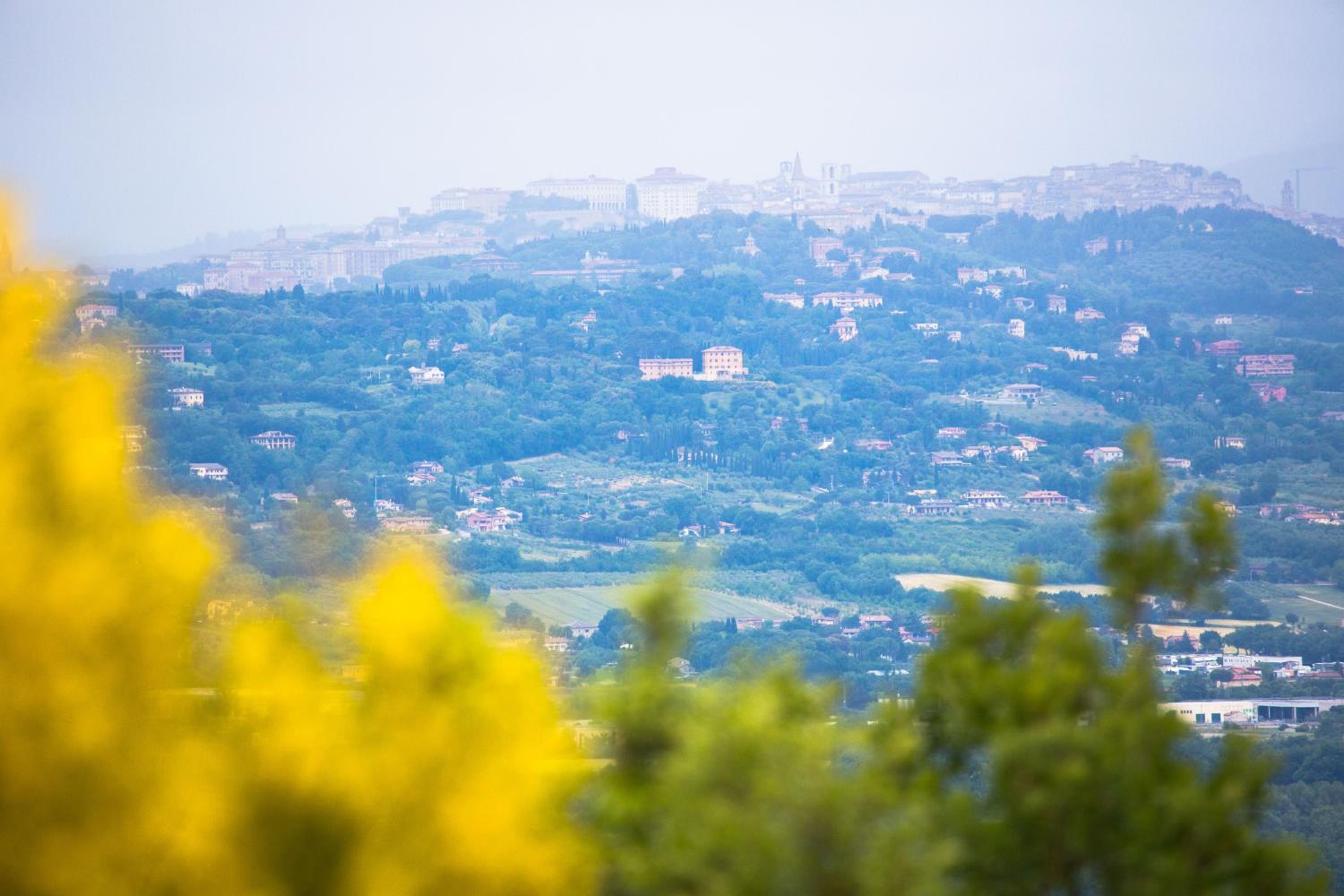 Agriturismo La Montagnola