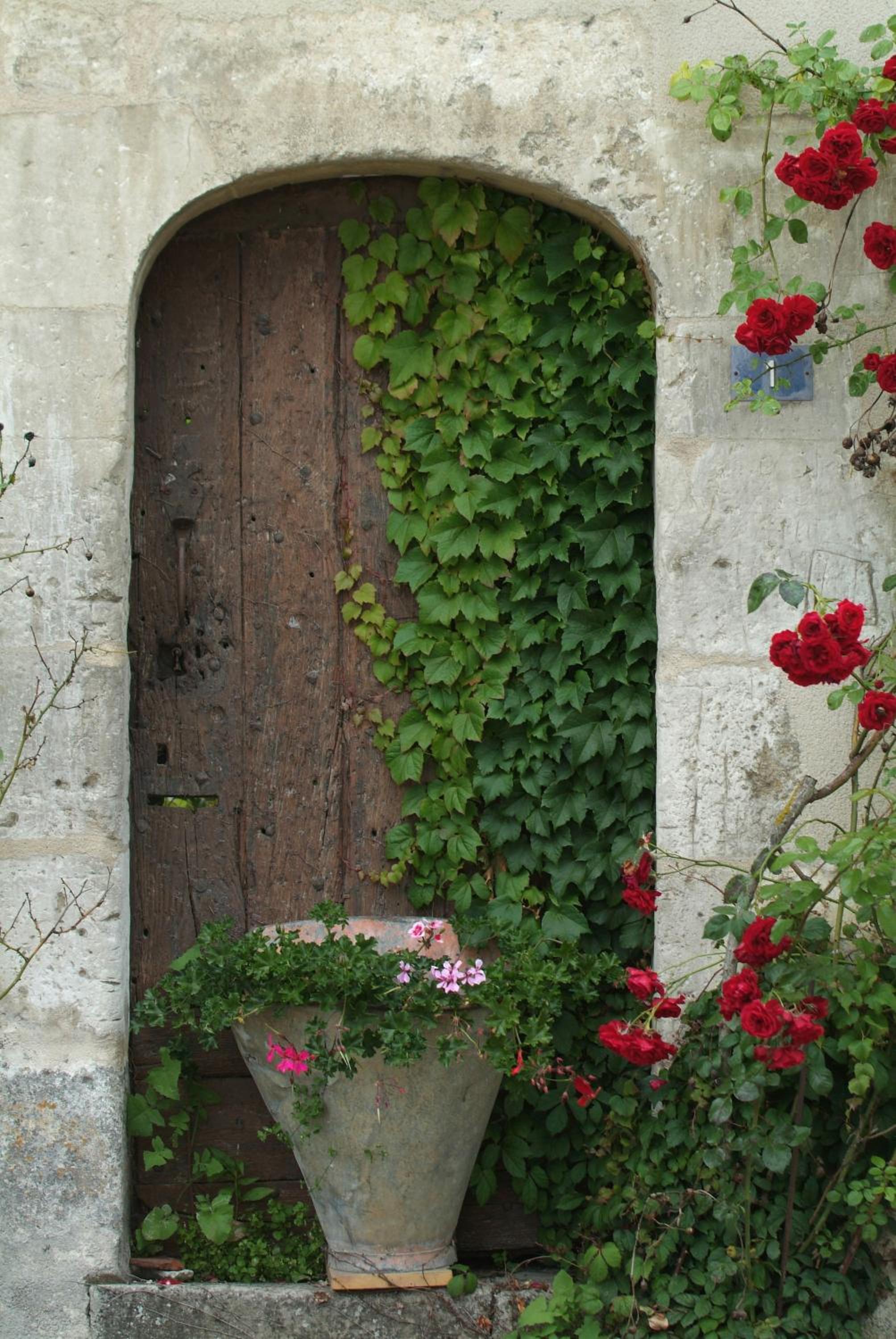 Maison Borgnat domaine viticole