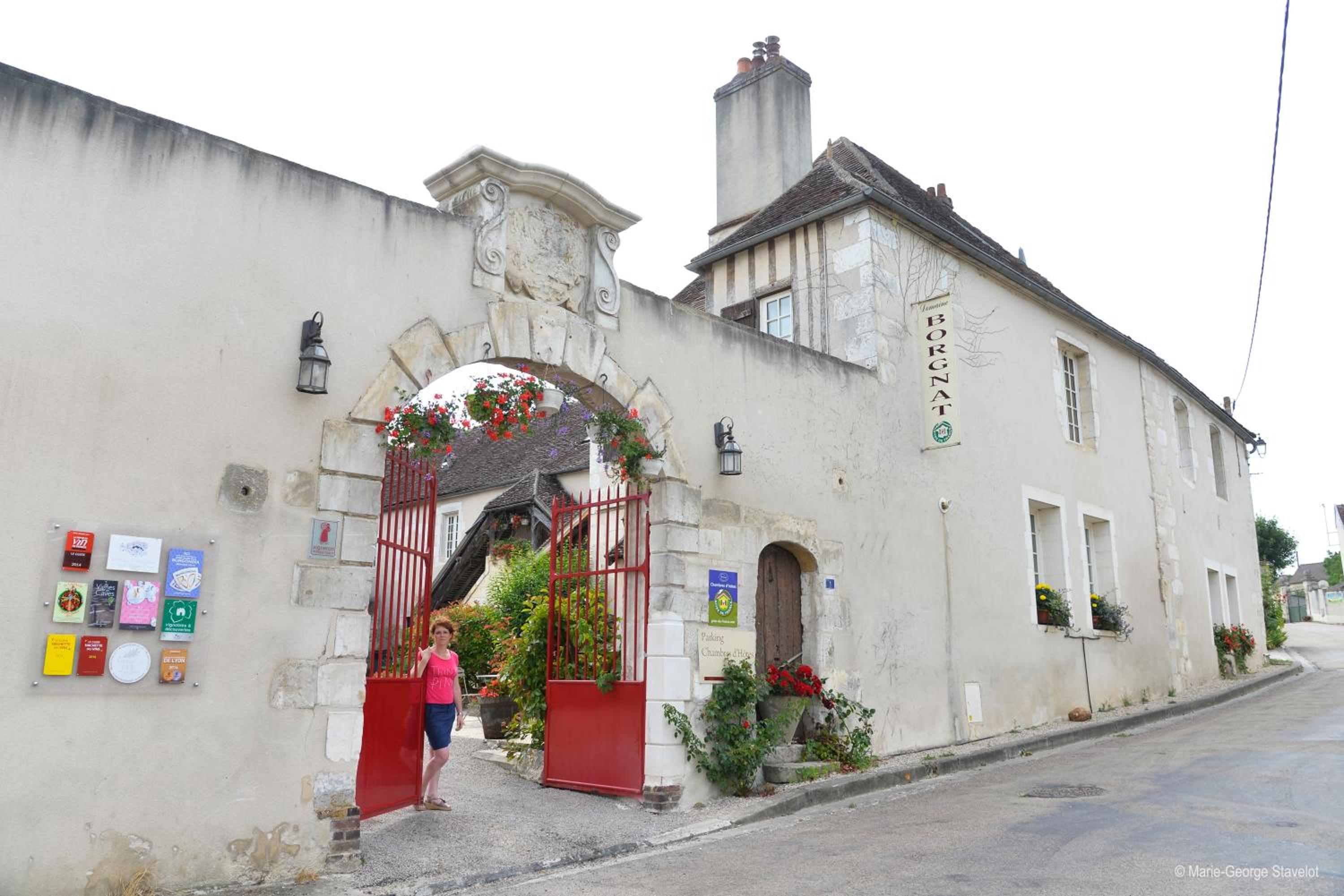Maison Borgnat domaine viticole