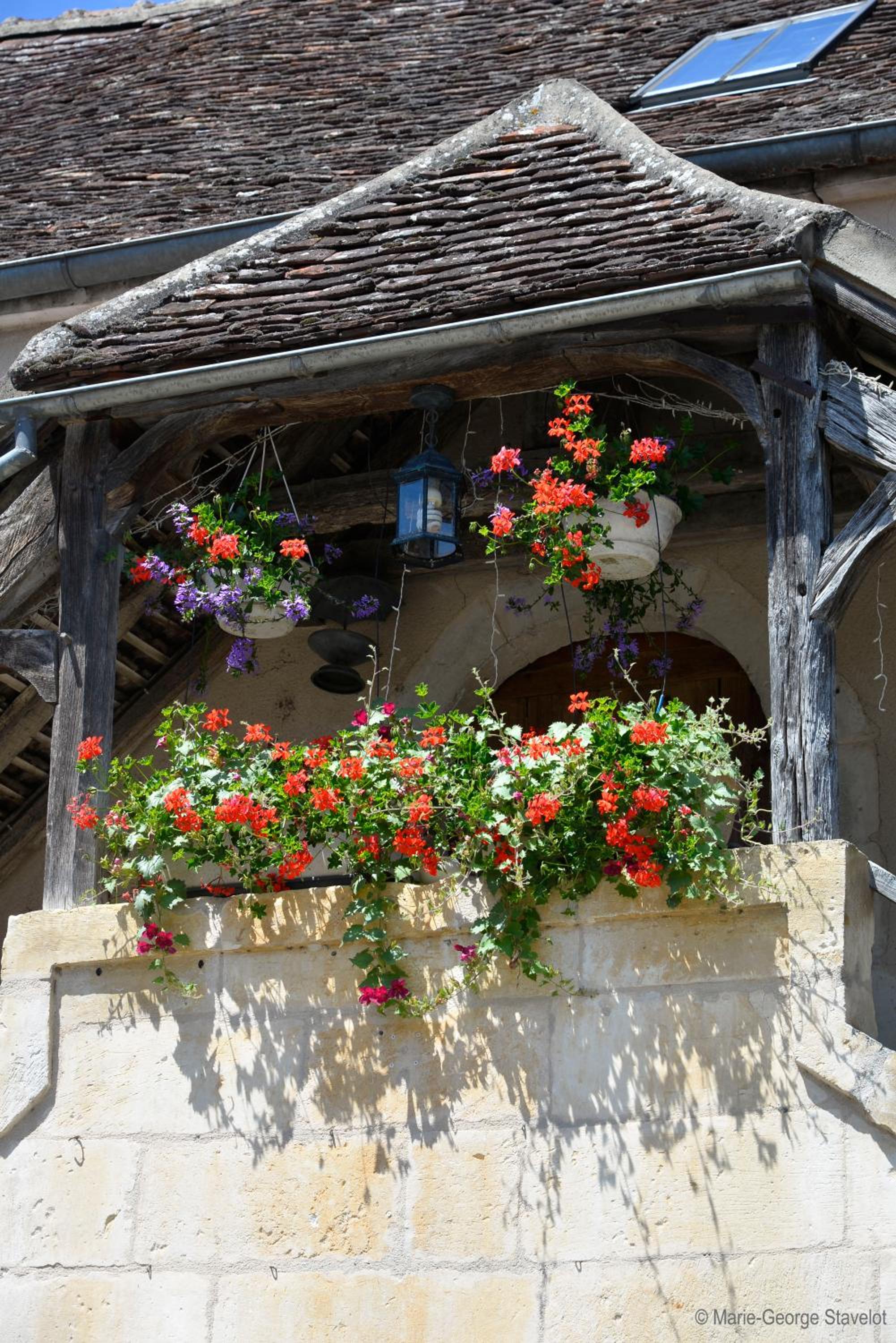 Maison Borgnat domaine viticole