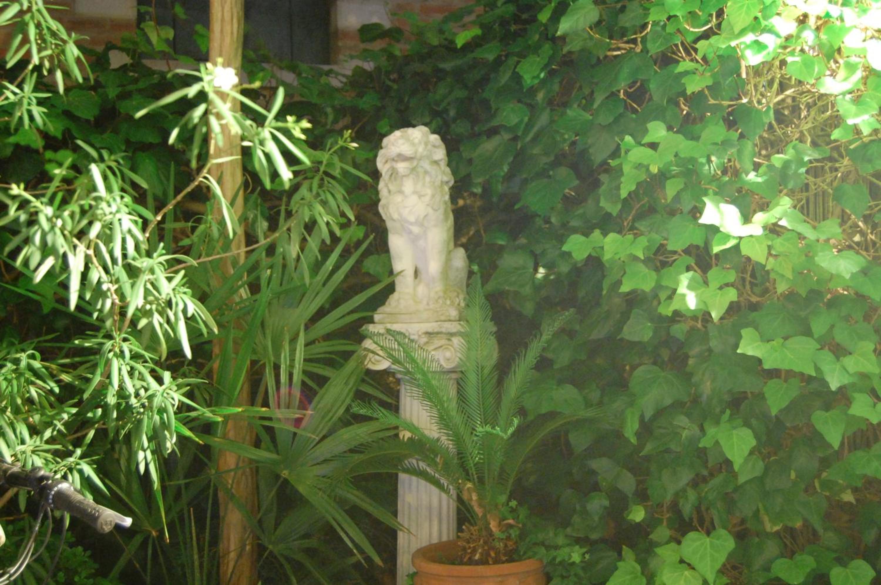 Photo 66
