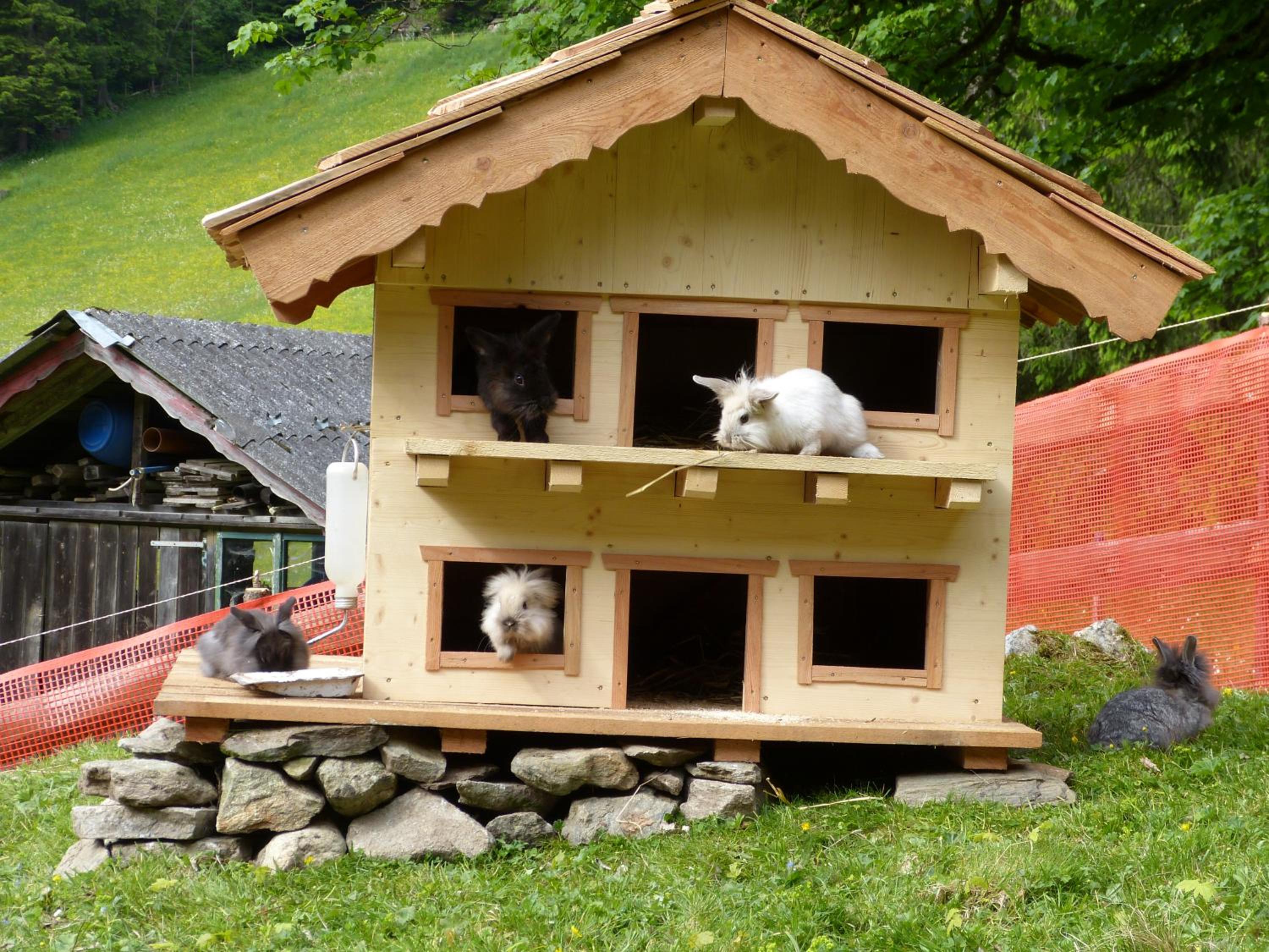 Schieplechnerhof