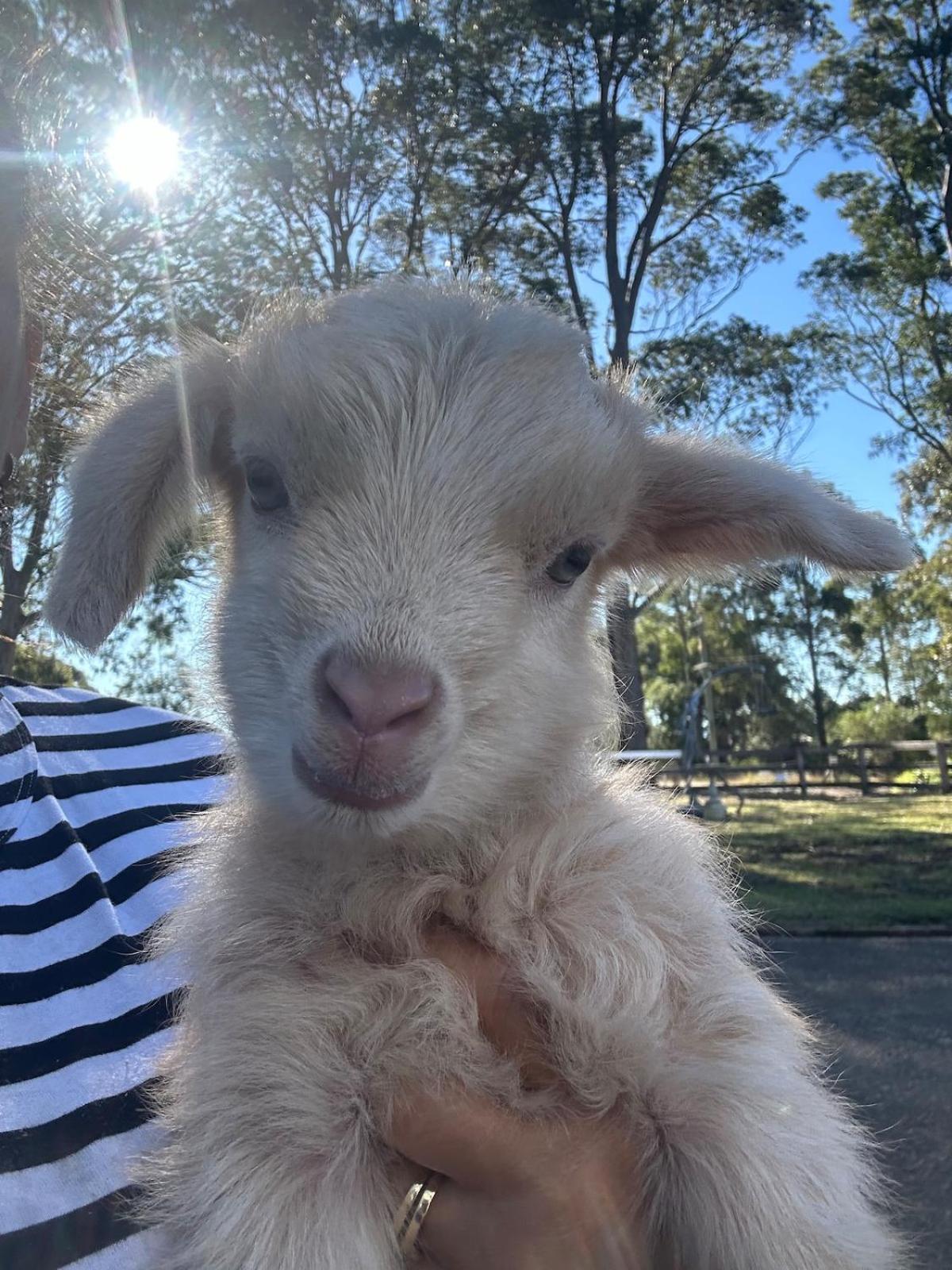 Farm Stay, Mariton Farm