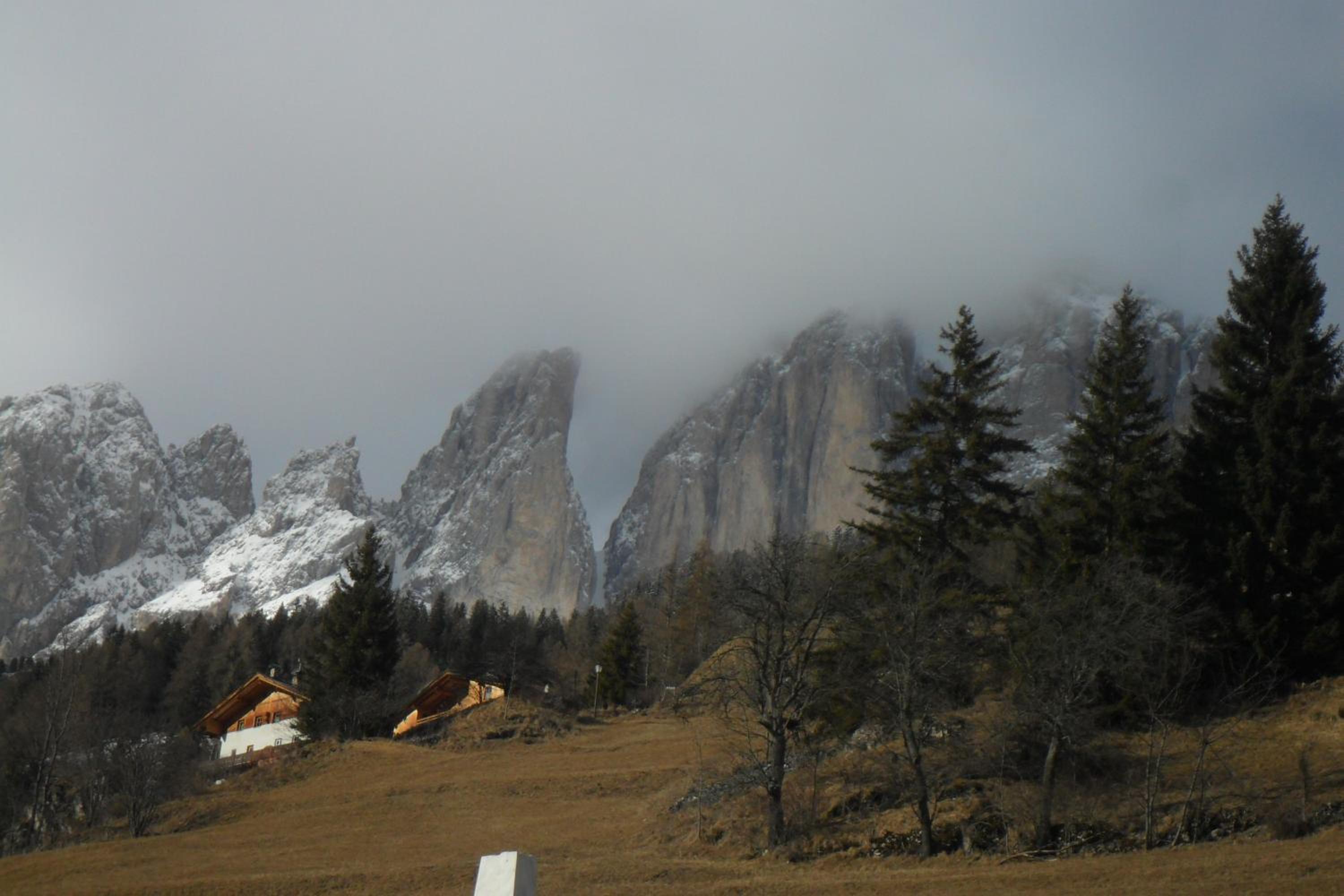 Photo 47
