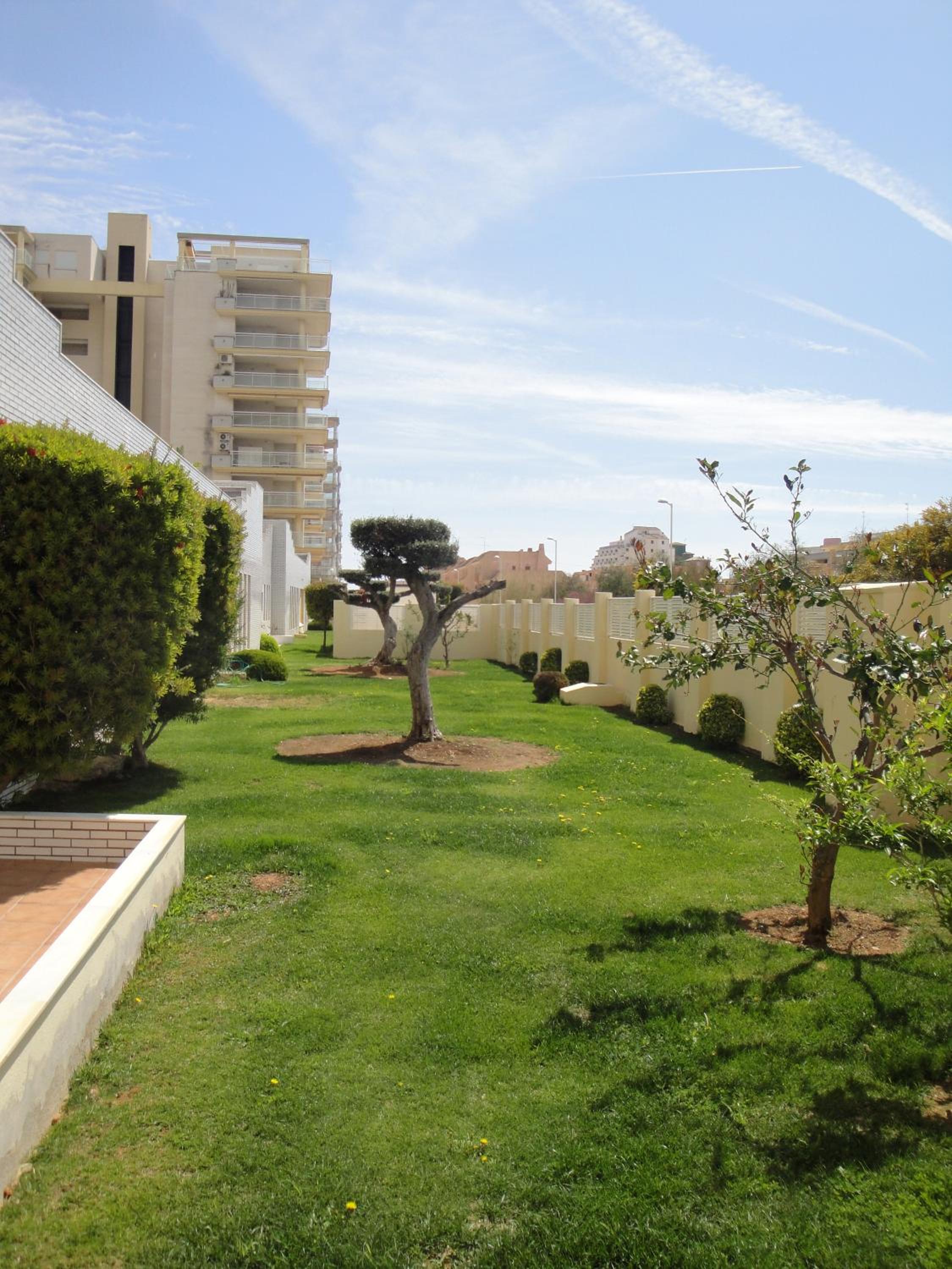 Apartamentos Argenta Caleta 3000