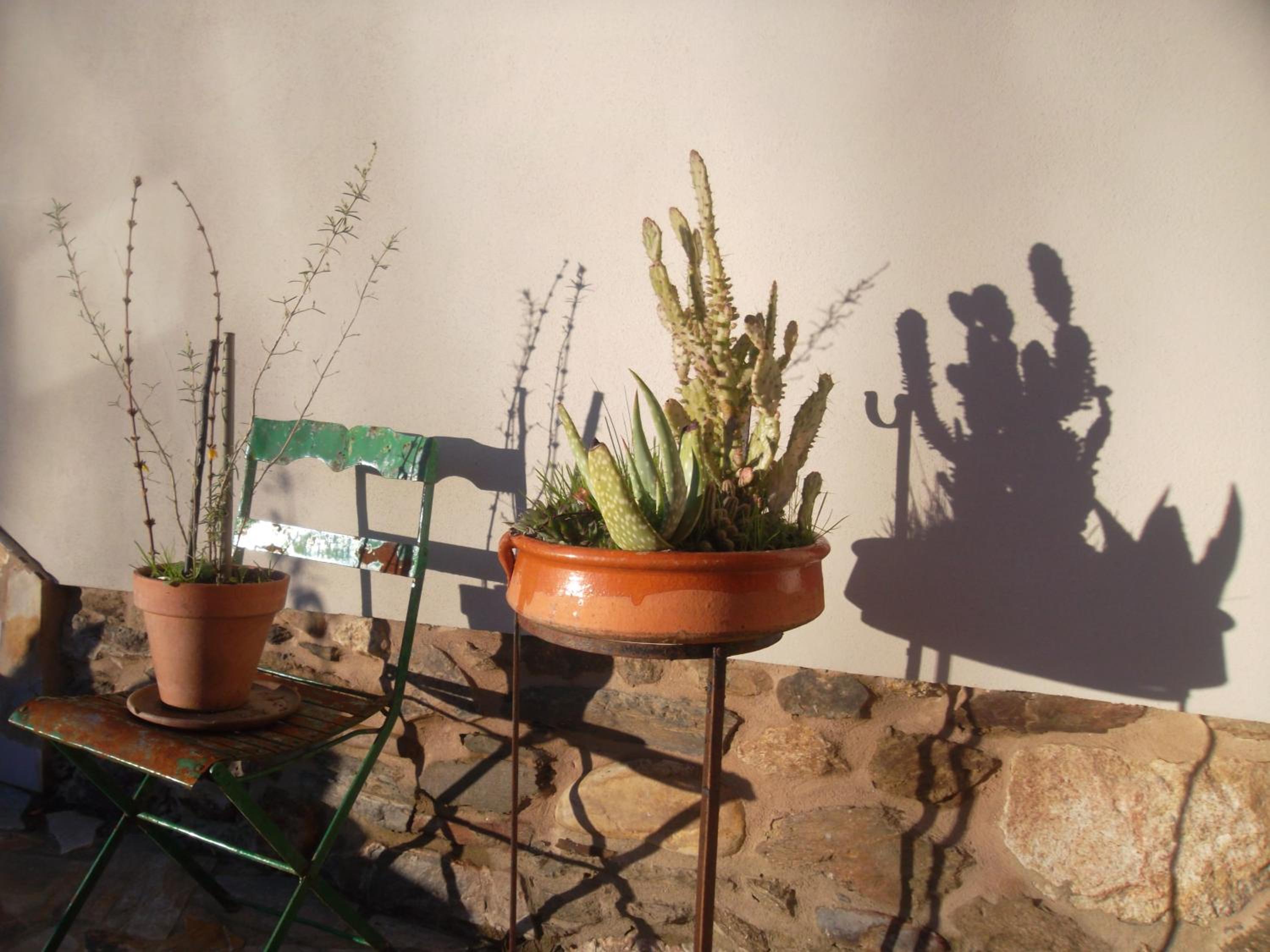 Molinos de Antero