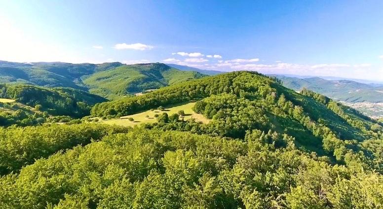 Wild Boar Mountain, Luxury Escape & Stunning Views!, photo 16